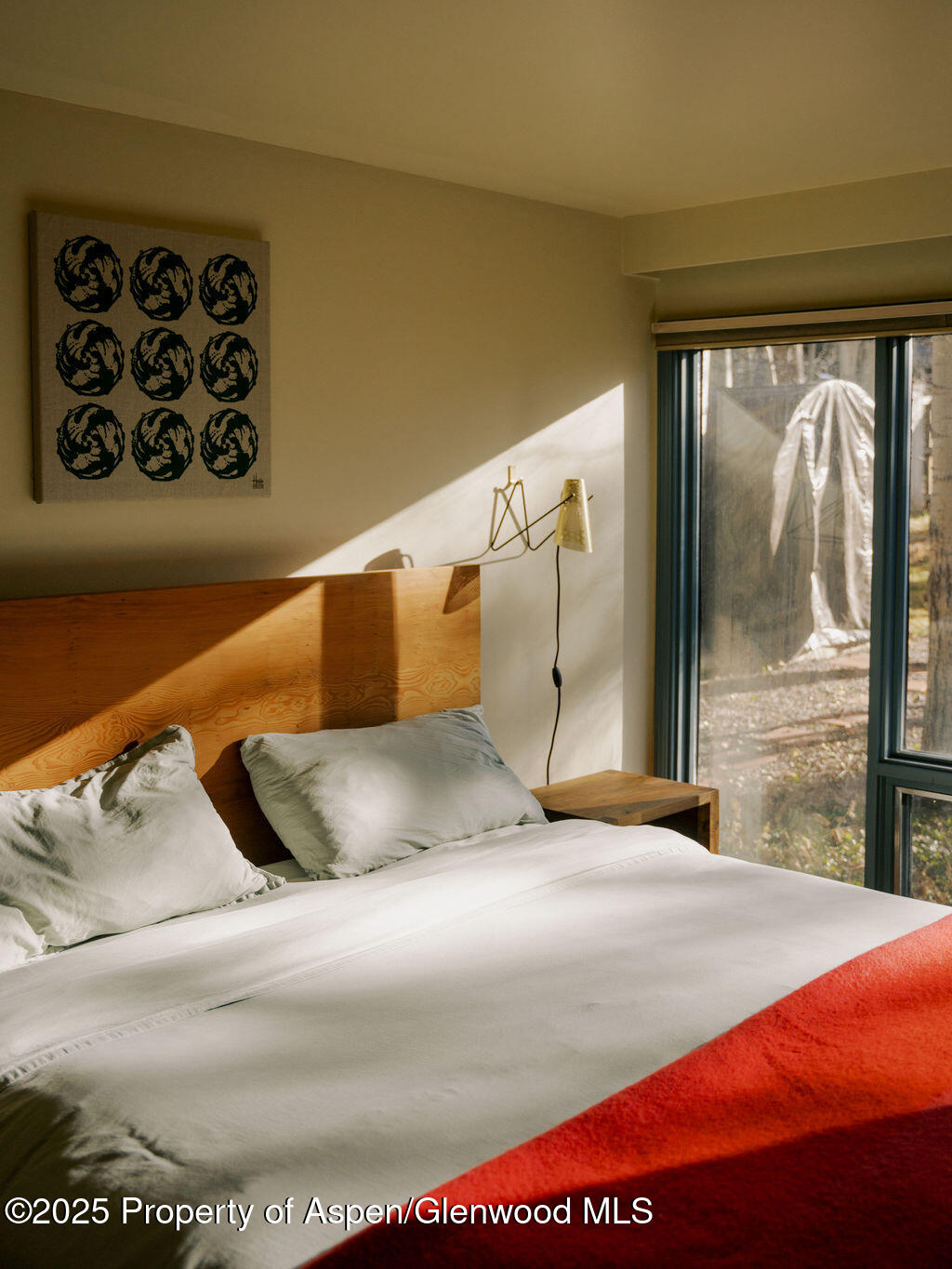 925 W North Street Aspen CO 81611