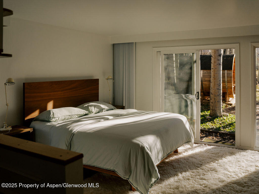 925 W North Street Aspen CO 81611