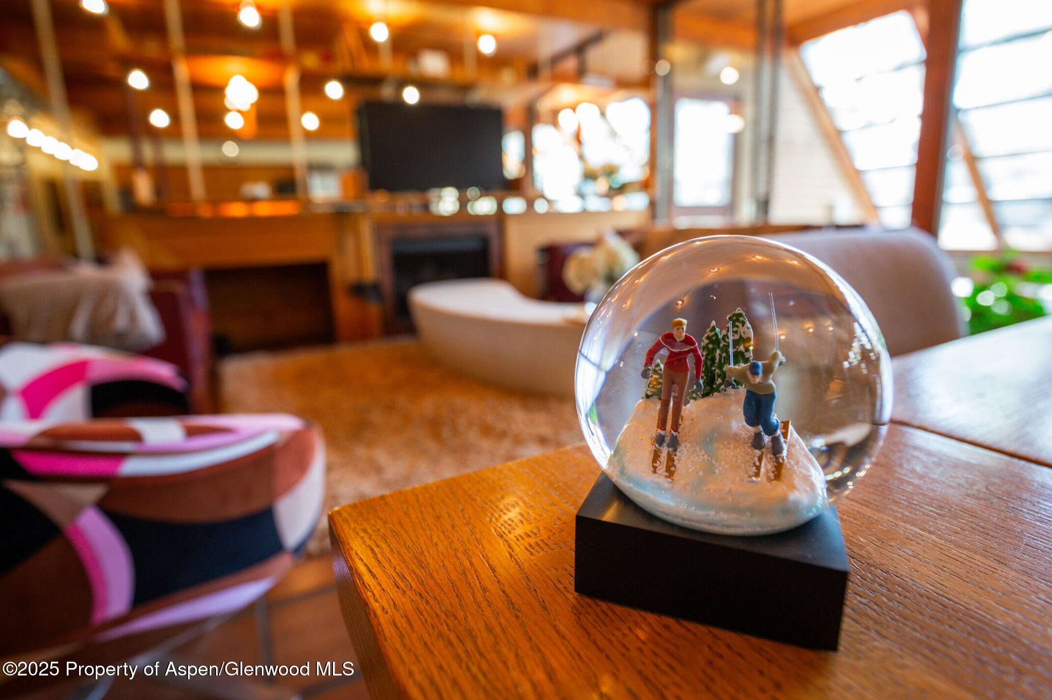 925 W North Street Aspen CO 81611