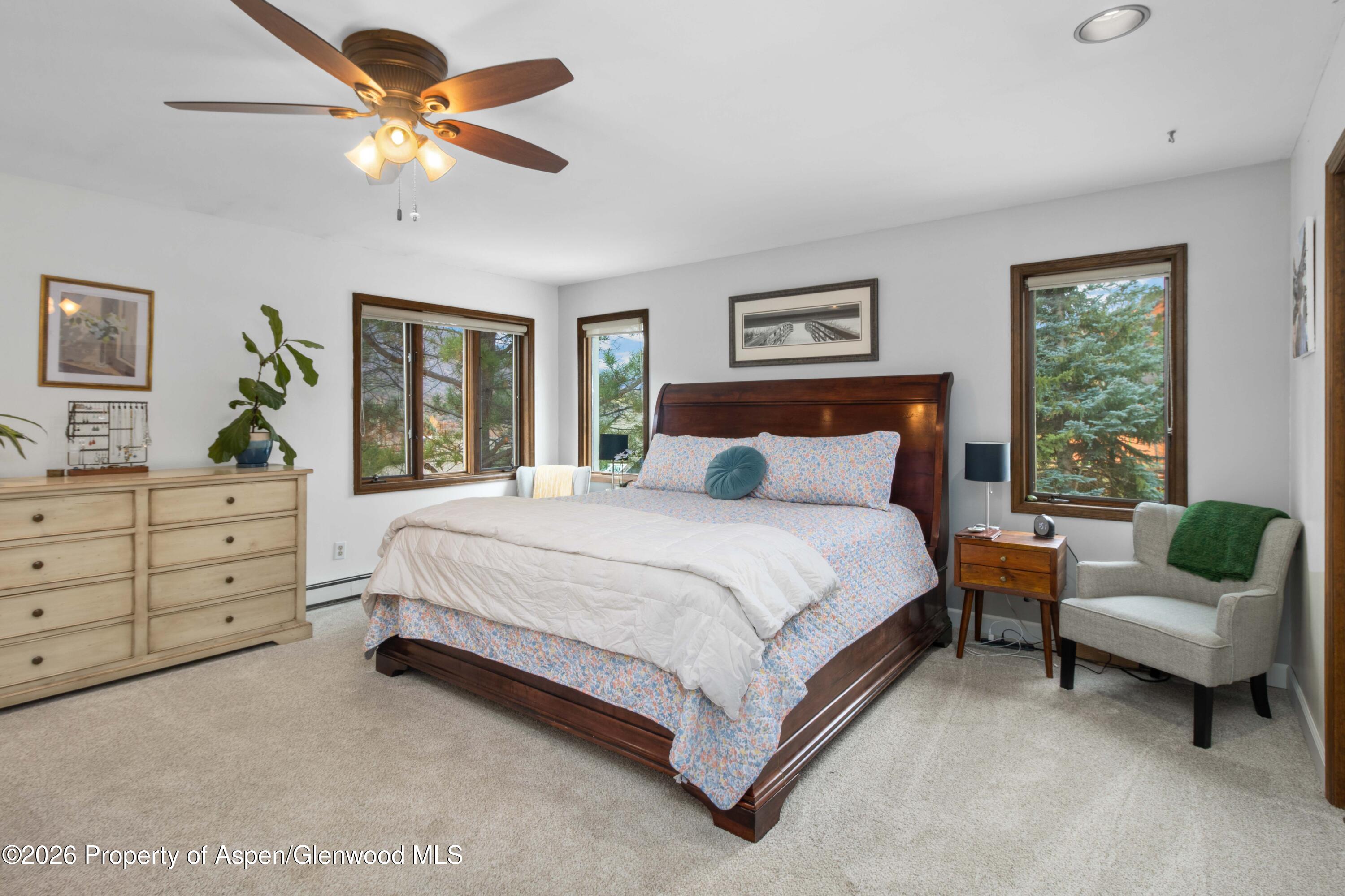 205 Alpine Court Glenwood Springs CO 81601