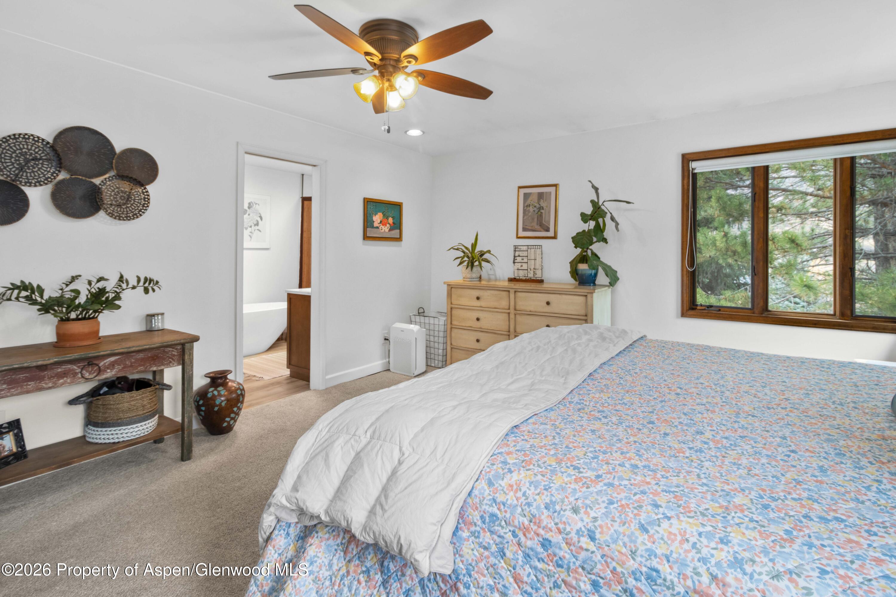 205 Alpine Court Glenwood Springs CO 81601