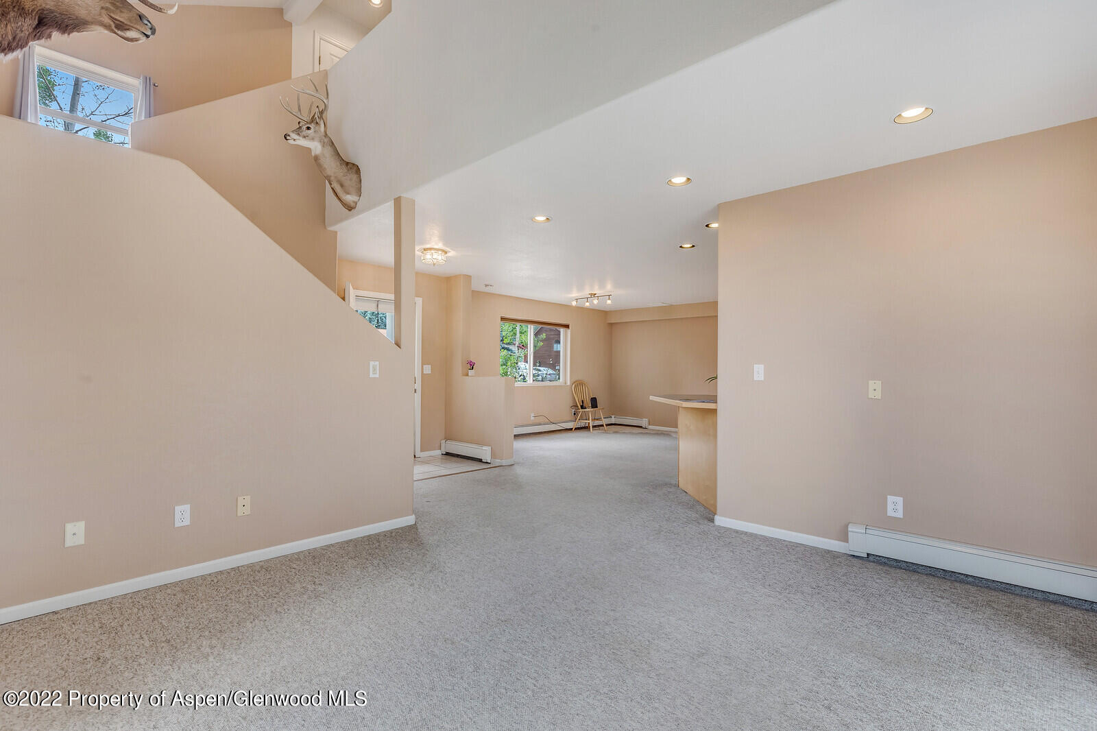 194 Summit Drive Carbondale CO 81623