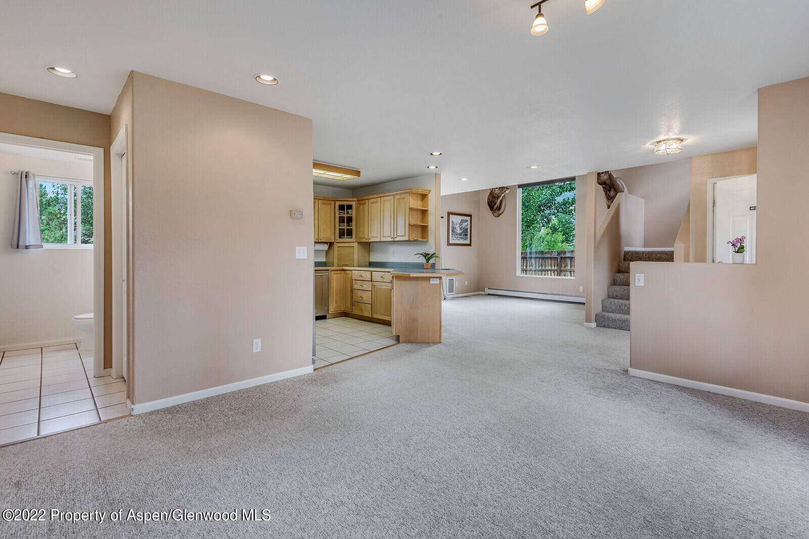 194 Summit Drive Carbondale CO 81623
