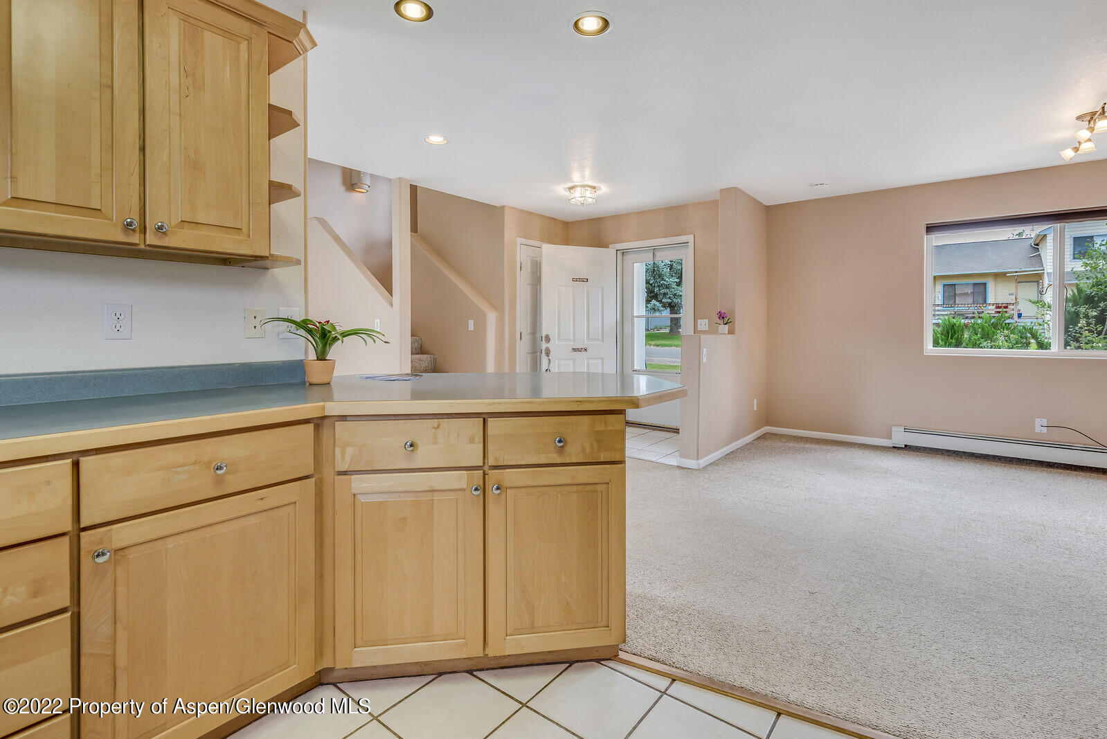 194 Summit Drive Carbondale CO 81623