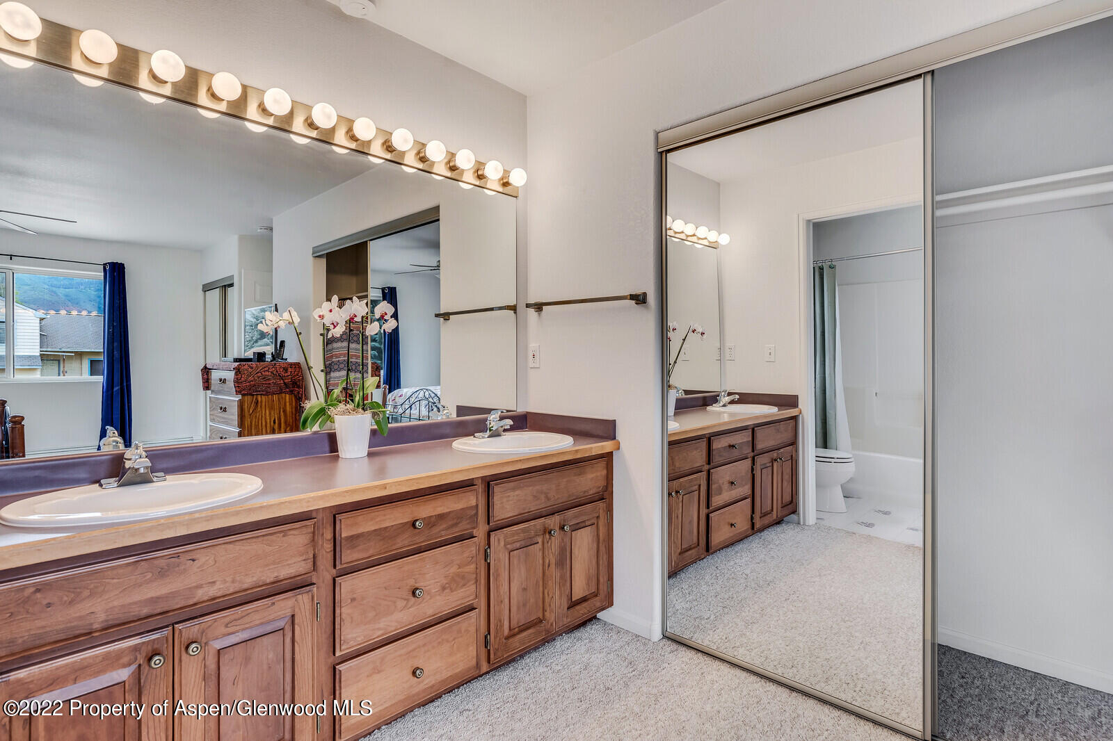 194 Summit Drive Carbondale CO 81623