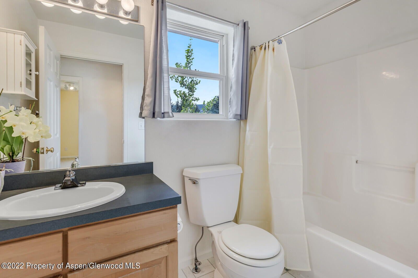 194 Summit Drive Carbondale CO 81623