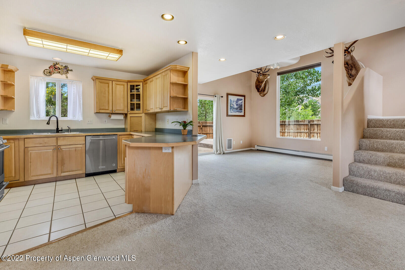 194 Summit Drive Carbondale CO 81623