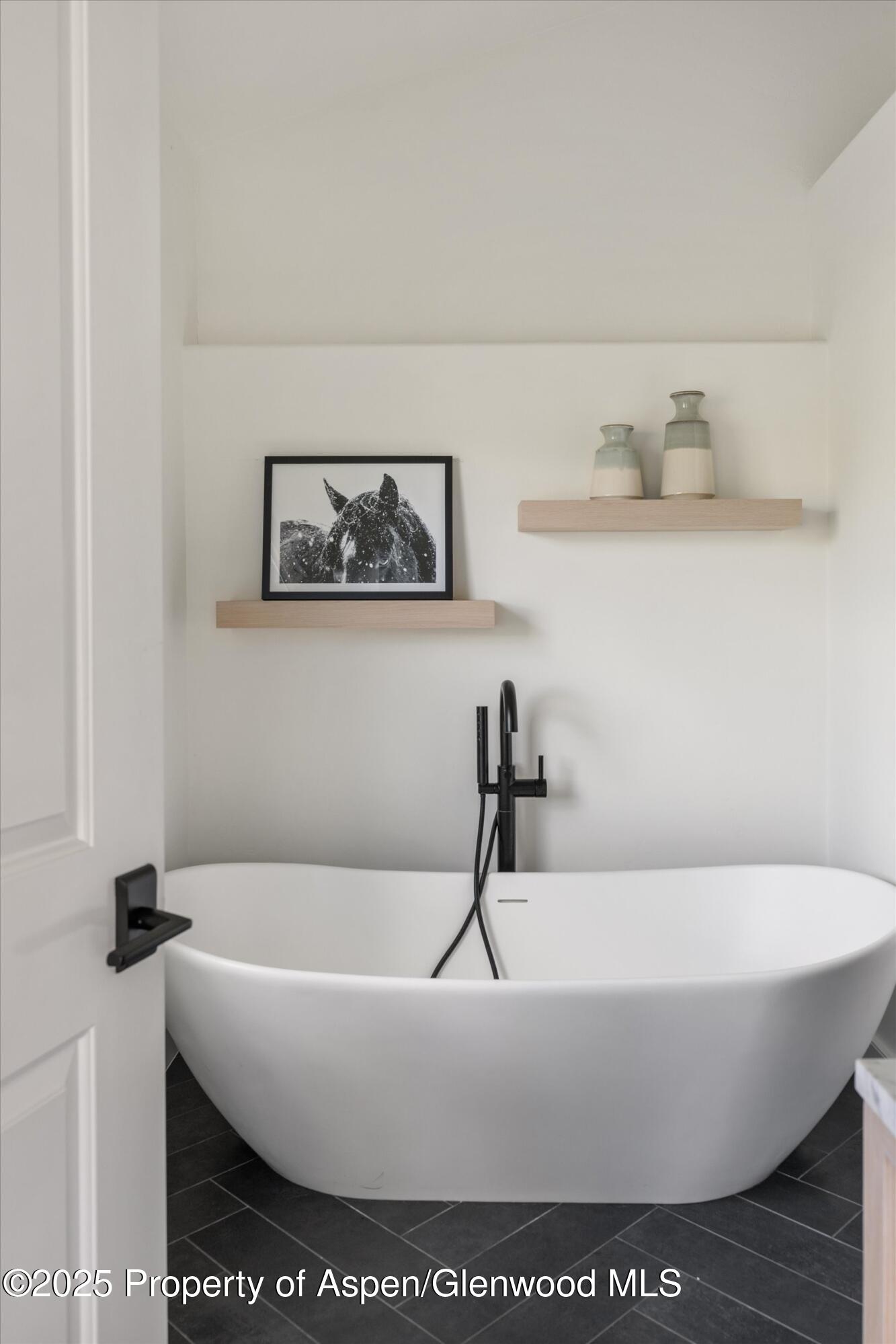 155 Nighthawk Drive Aspen CO 81611