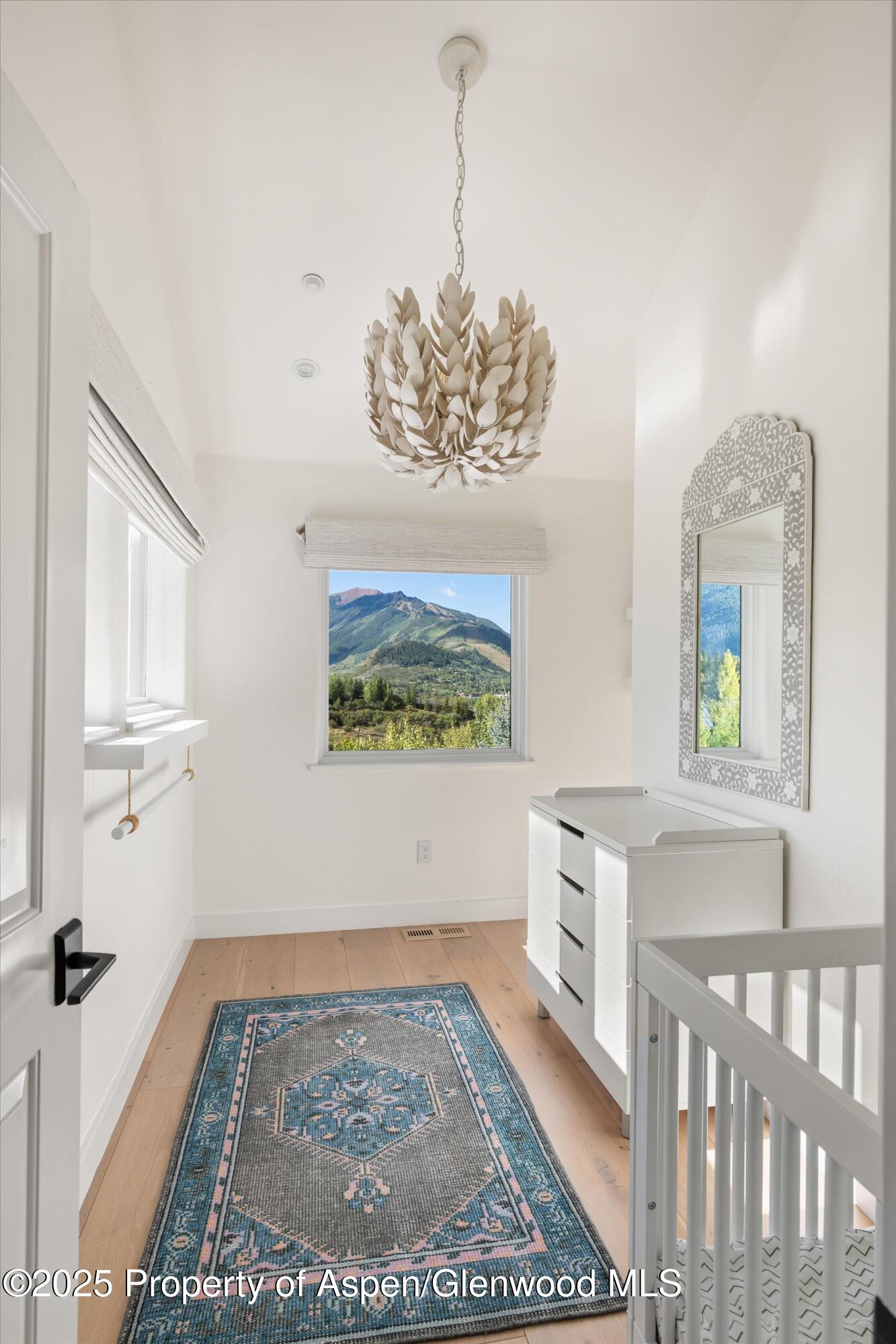 155 Nighthawk Drive Aspen CO 81611