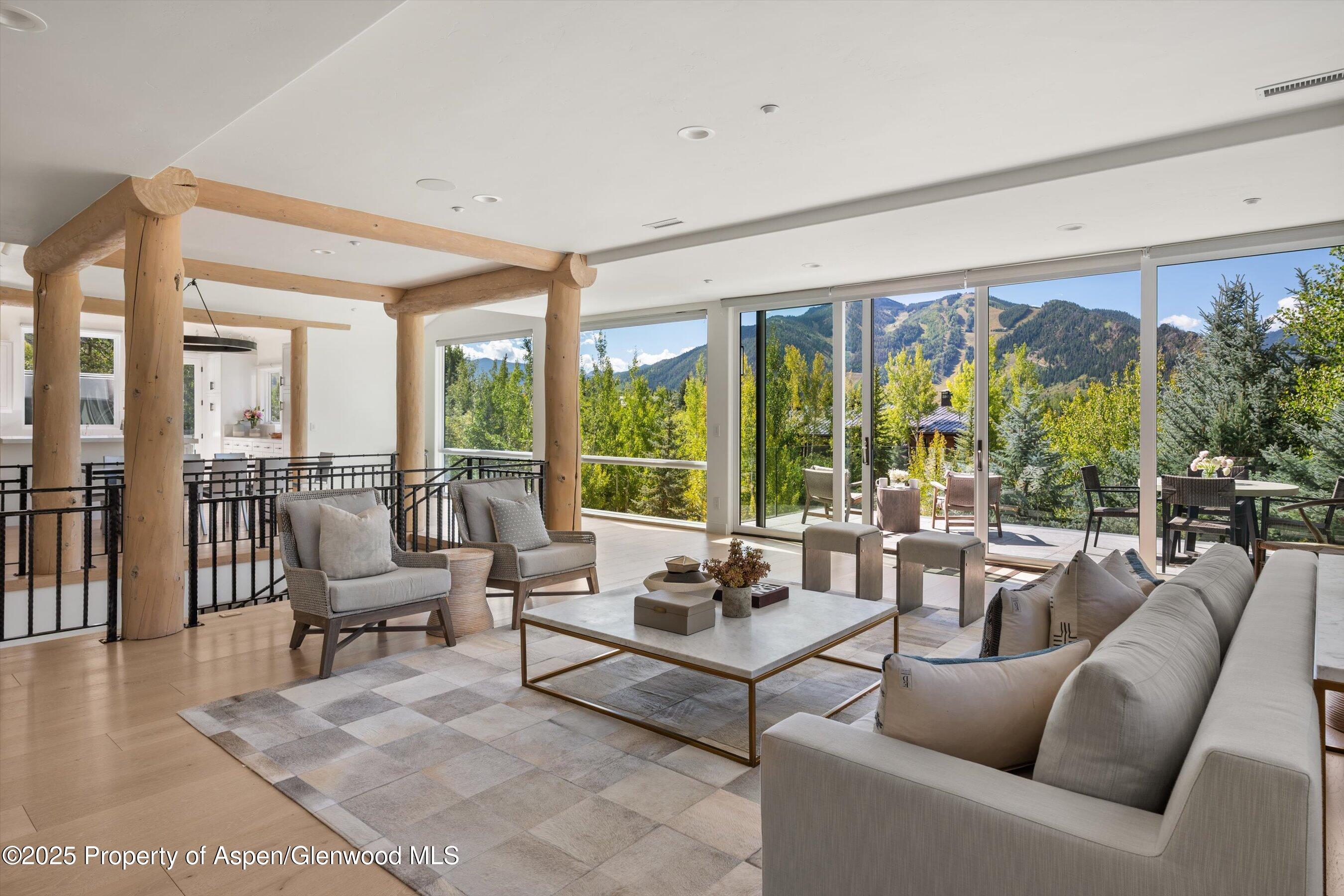 155 Nighthawk Drive Aspen CO 81611