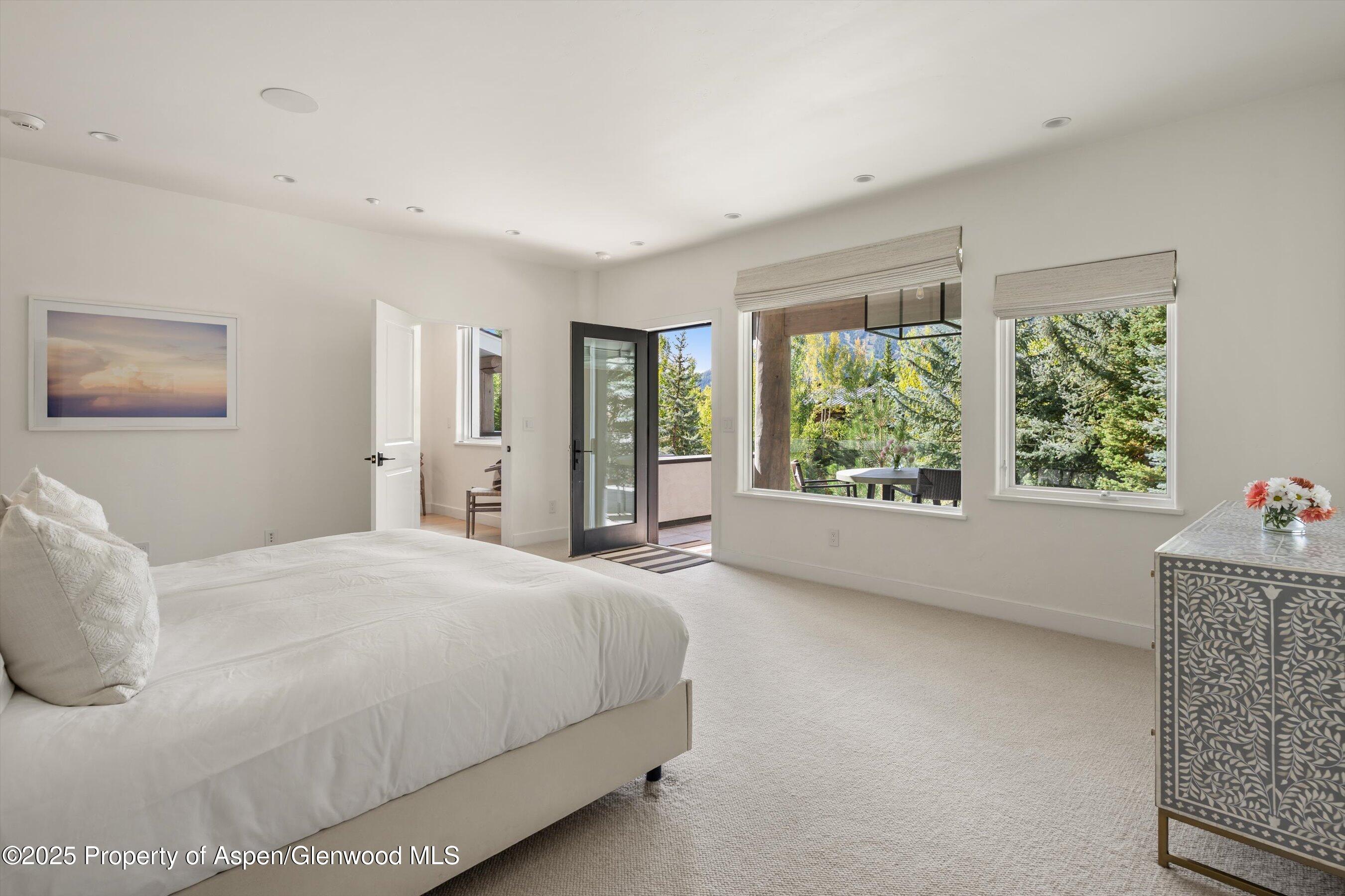 155 Nighthawk Drive Aspen CO 81611