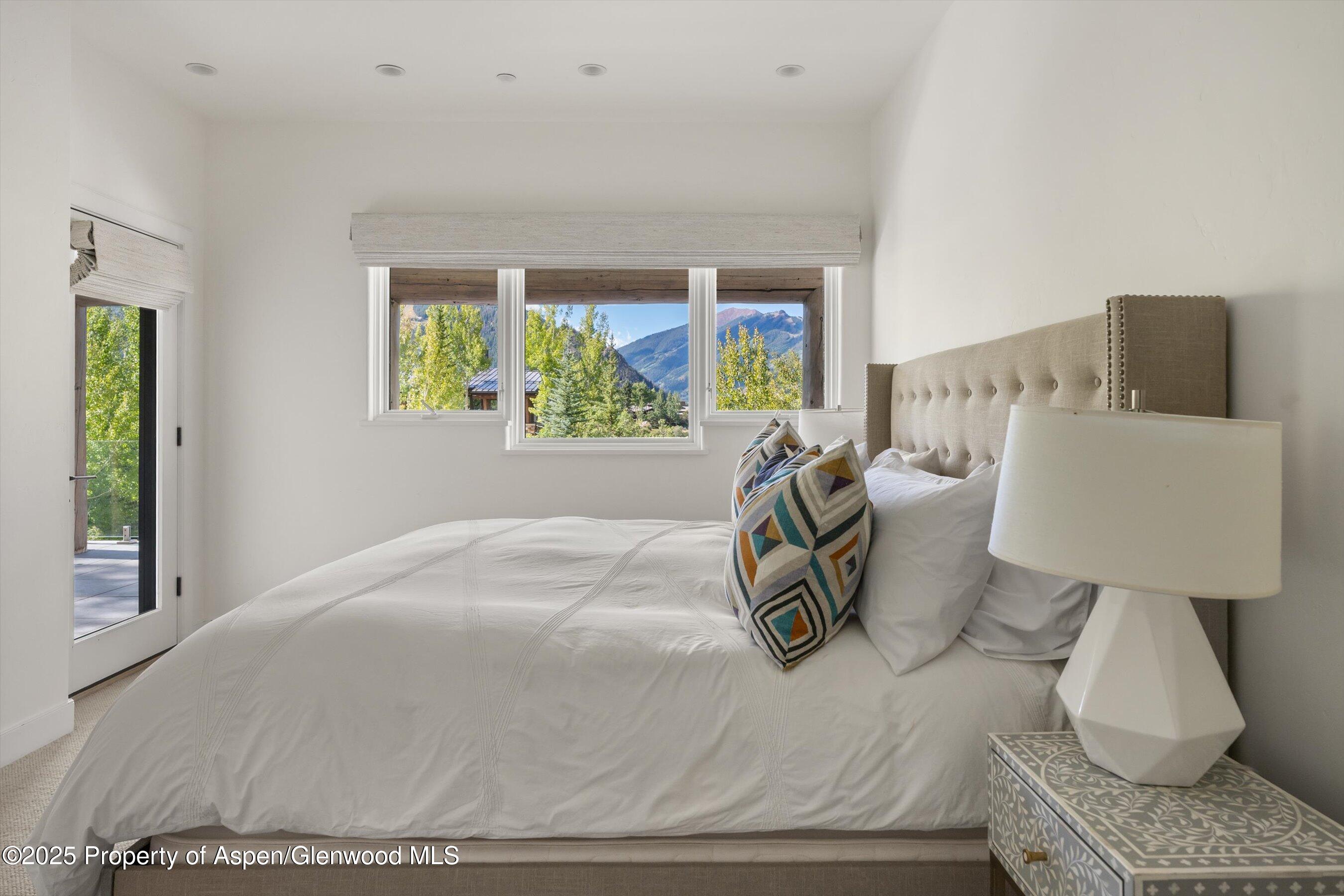 155 Nighthawk Drive Aspen CO 81611