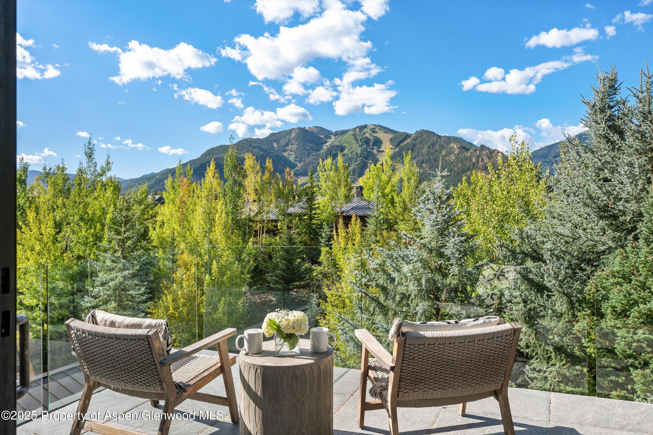 155 Nighthawk Drive Aspen CO 81611