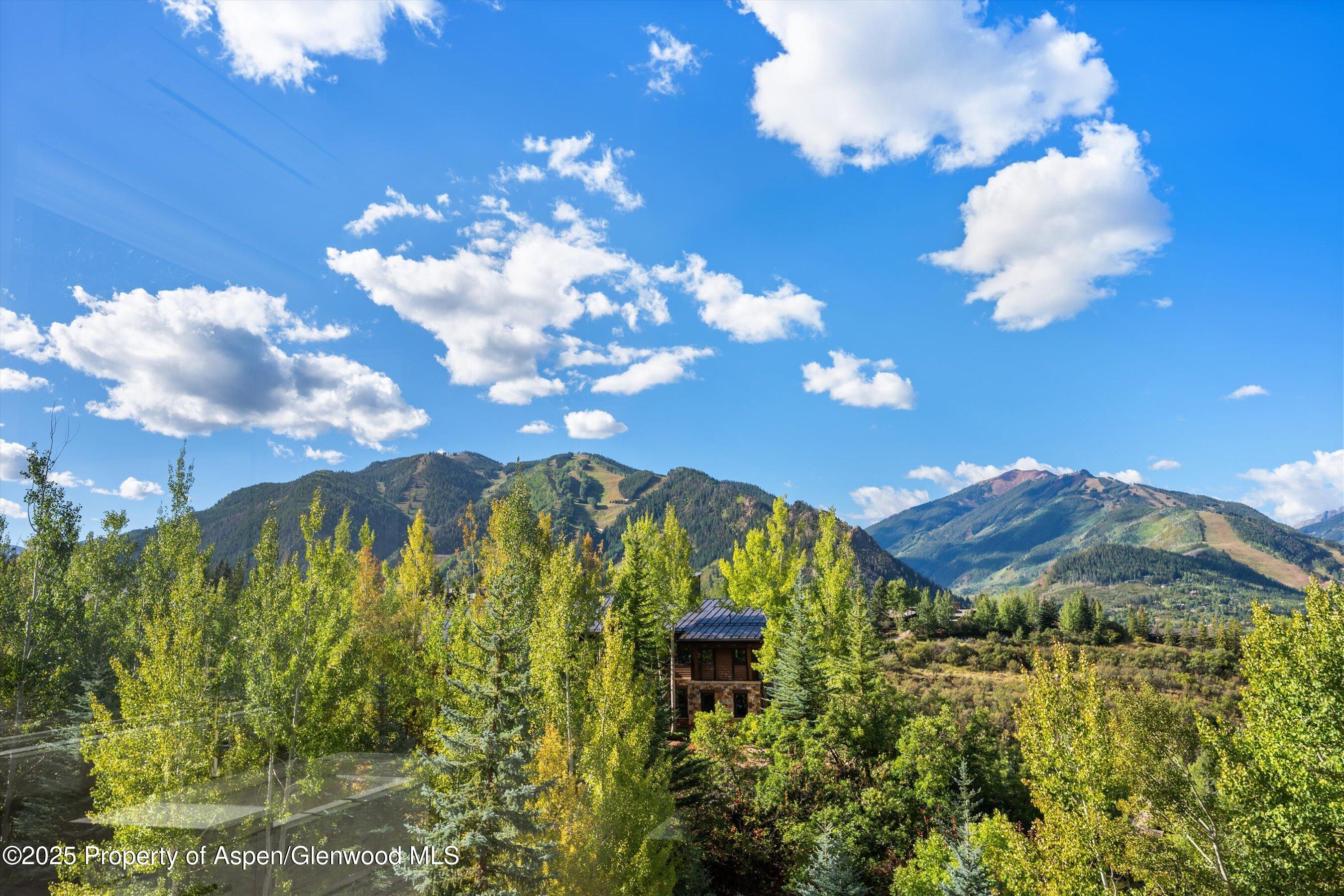 155 Nighthawk Drive Aspen CO 81611