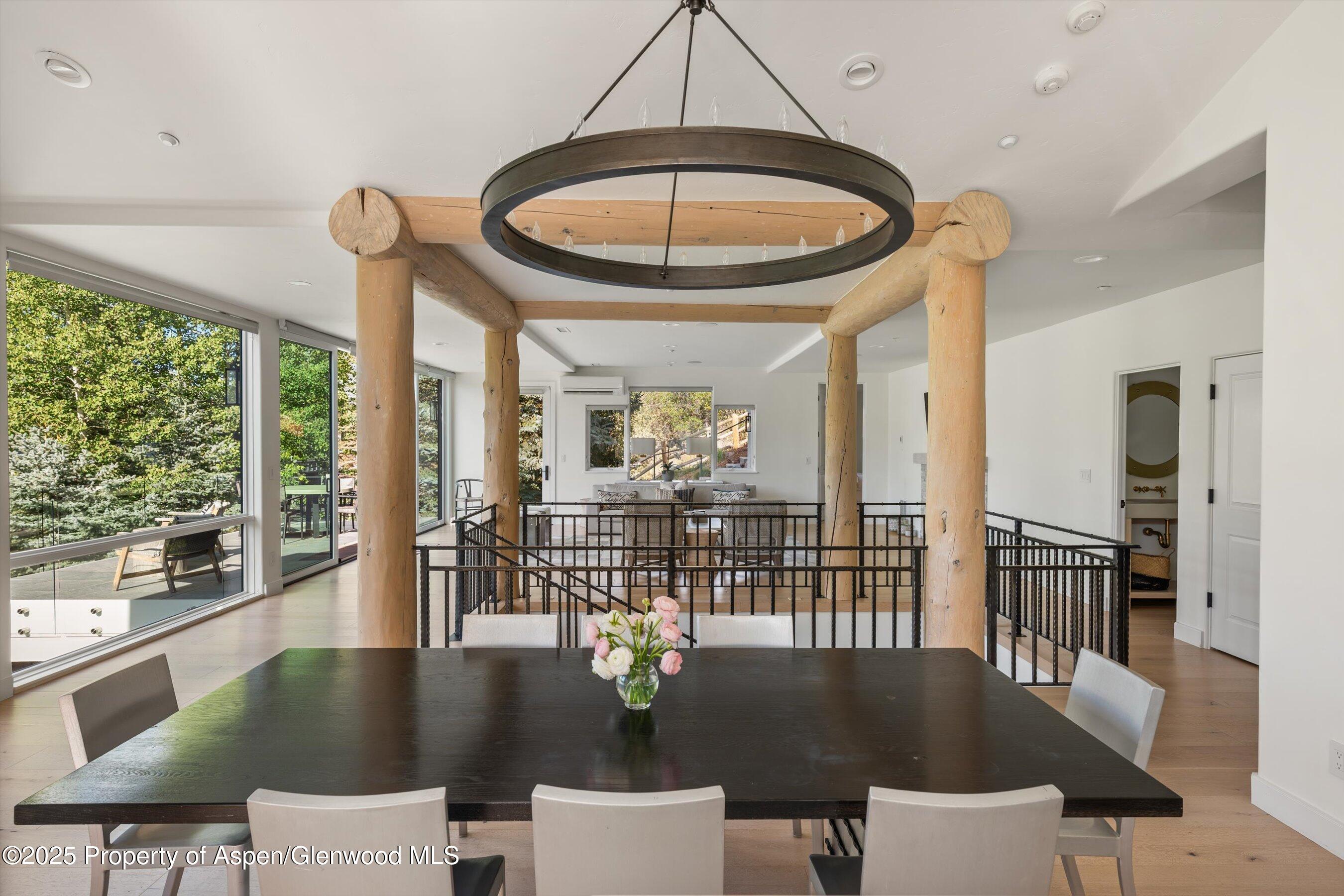 155 Nighthawk Drive Aspen CO 81611