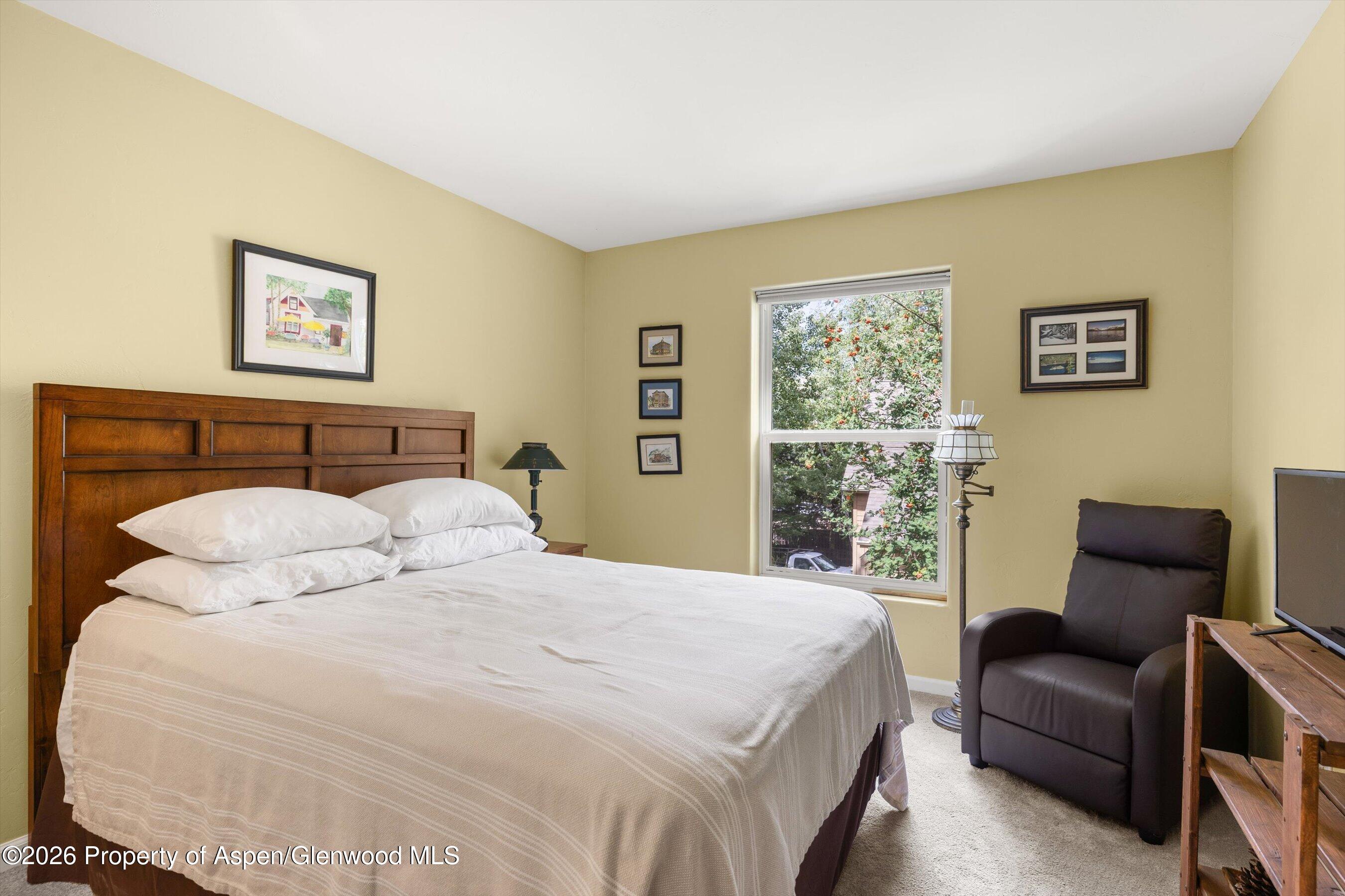 382 Branding Way Basalt CO 81621