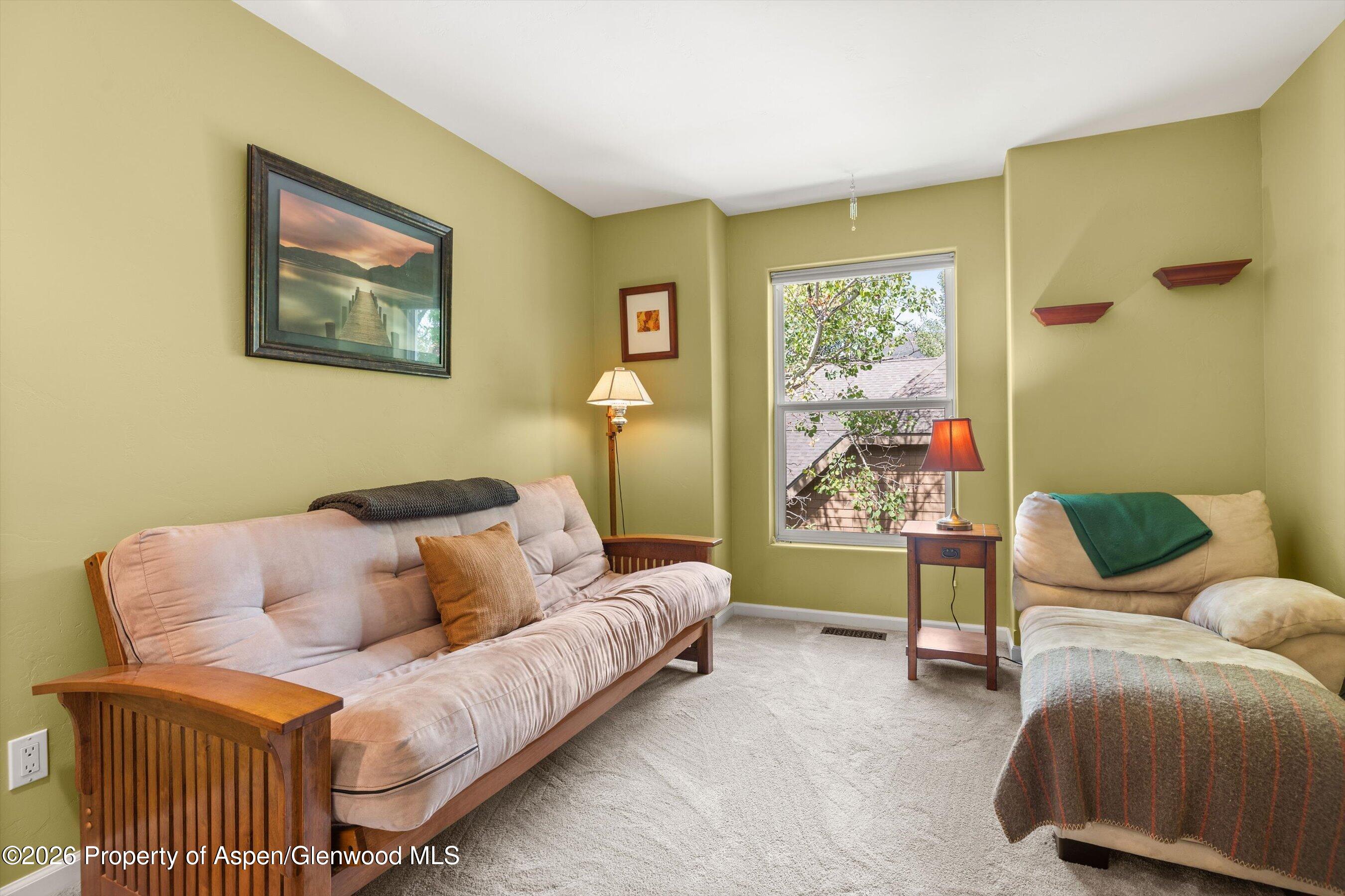 382 Branding Way Basalt CO 81621