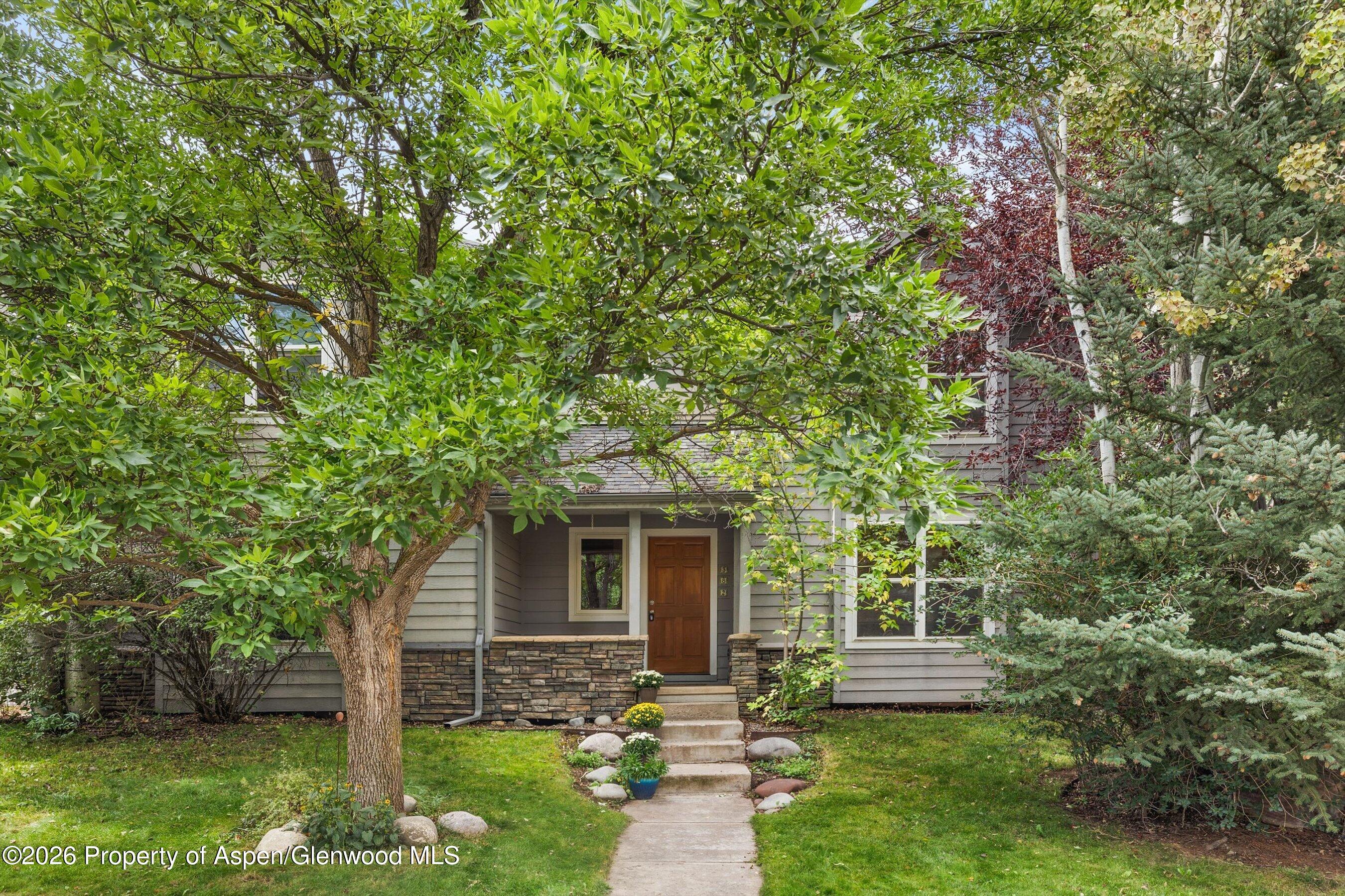 382 Branding Way Basalt CO 81621