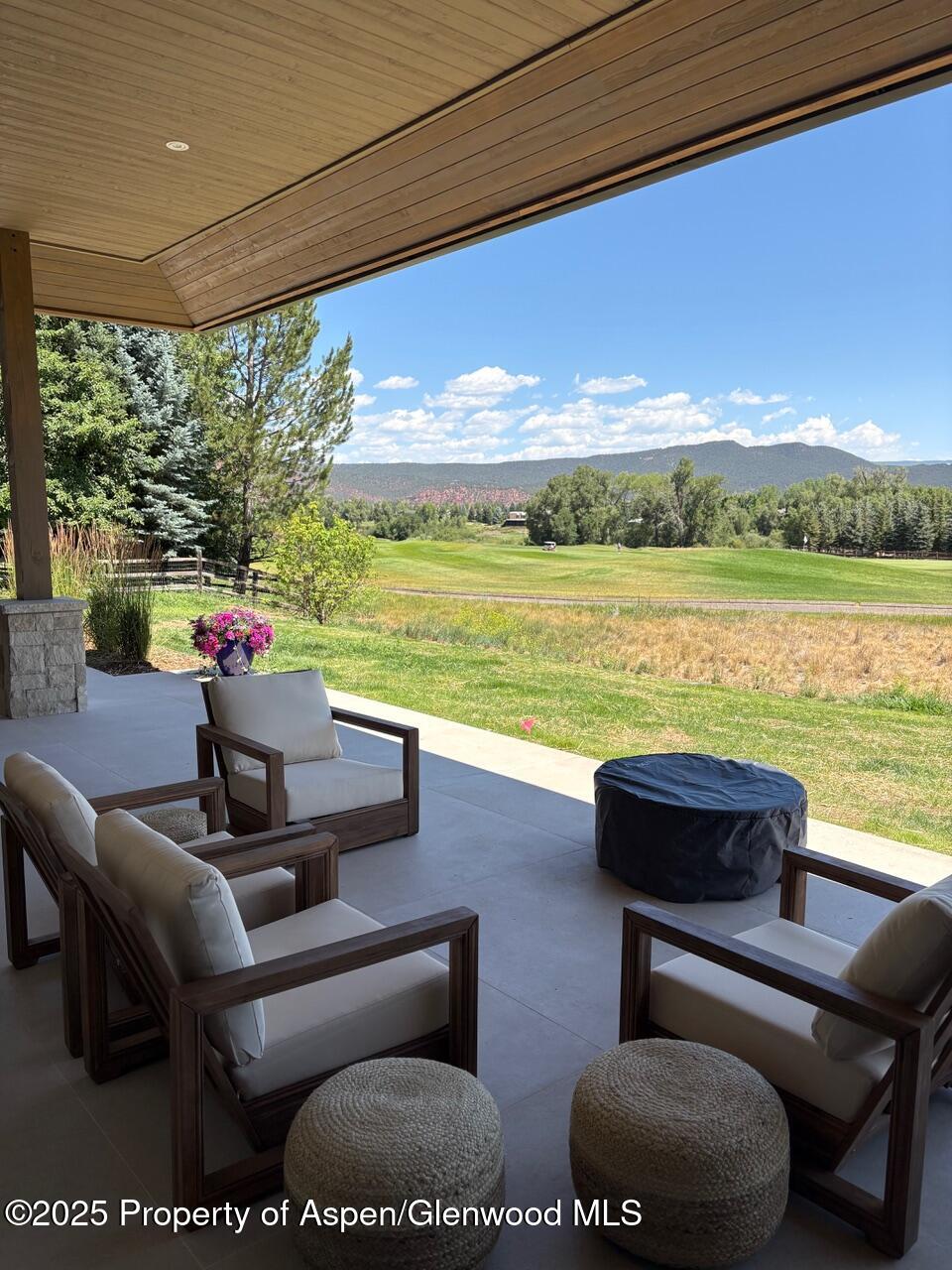 22 Heritage Court Carbondale CO 81623