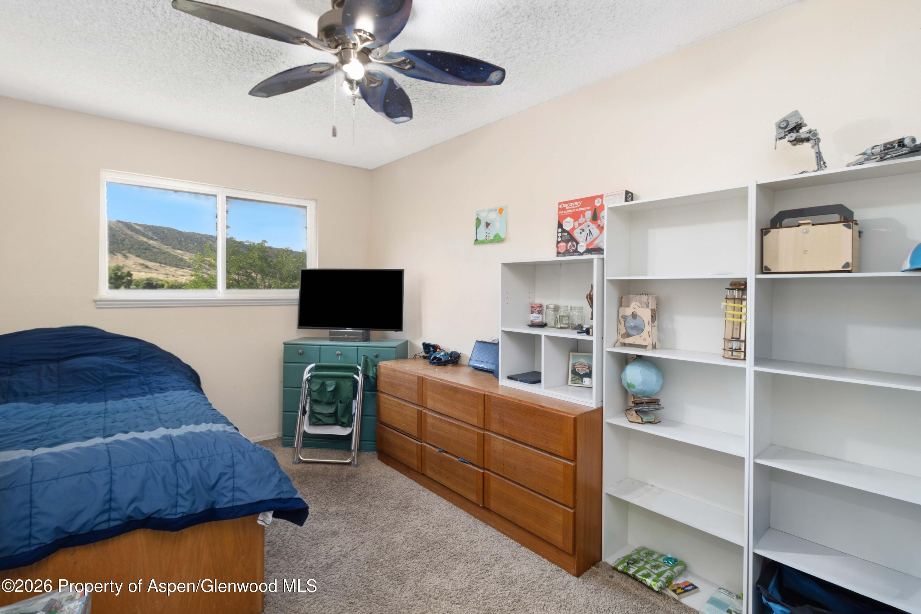 48 Rosewood Way Parachute CO 81635