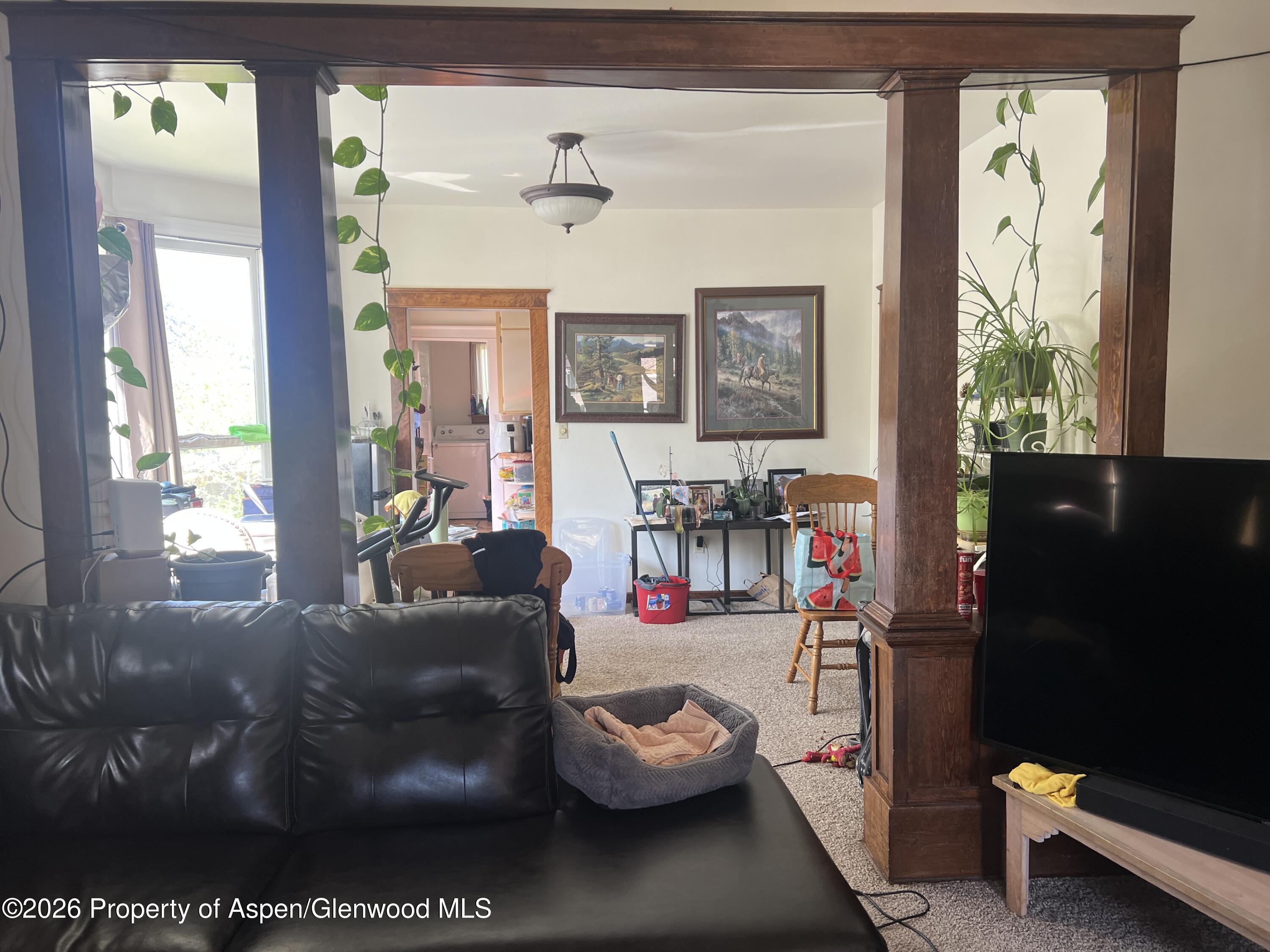 221 S E Avenue New Castle CO 81647