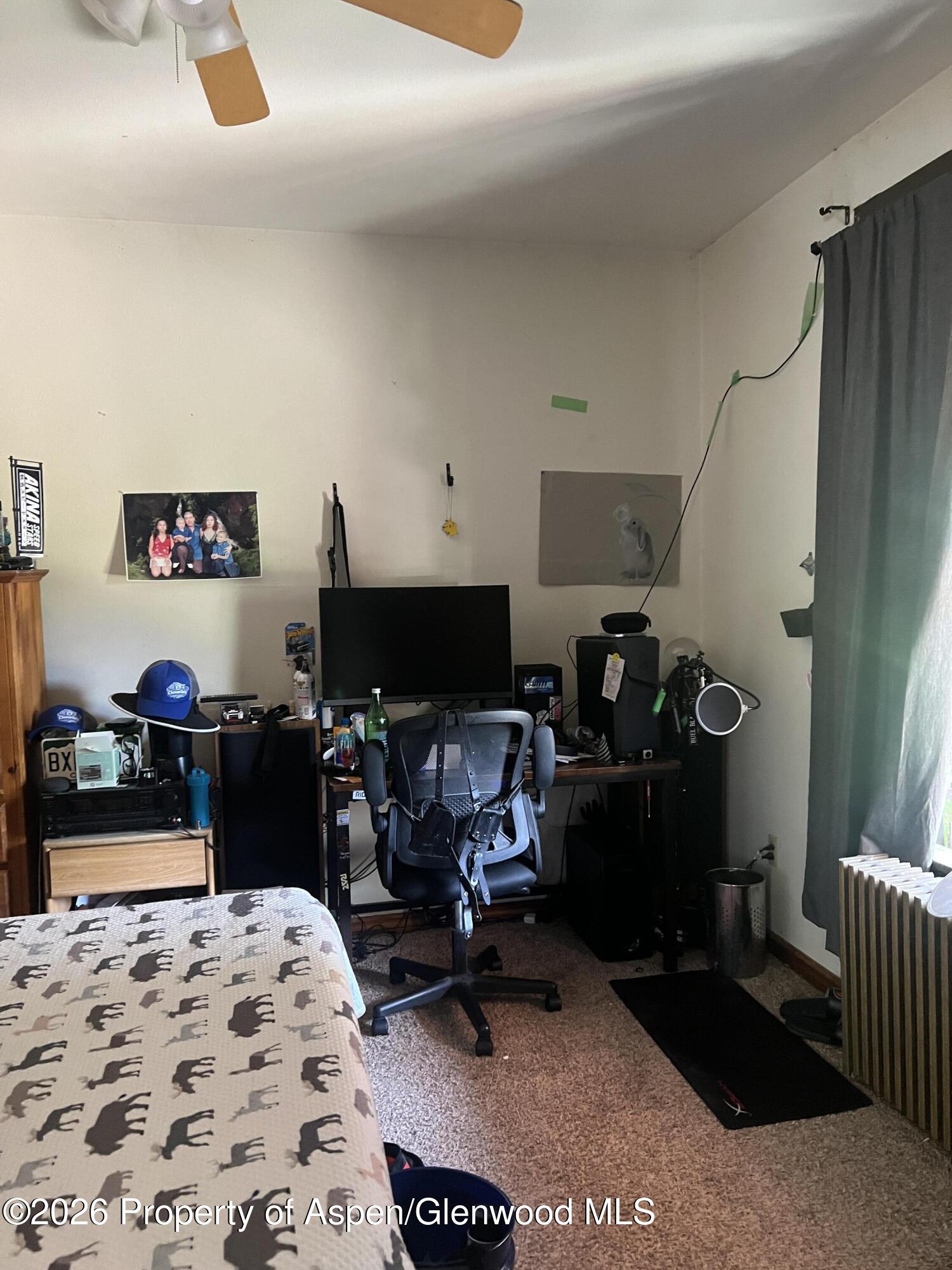 221 S E Avenue New Castle CO 81647