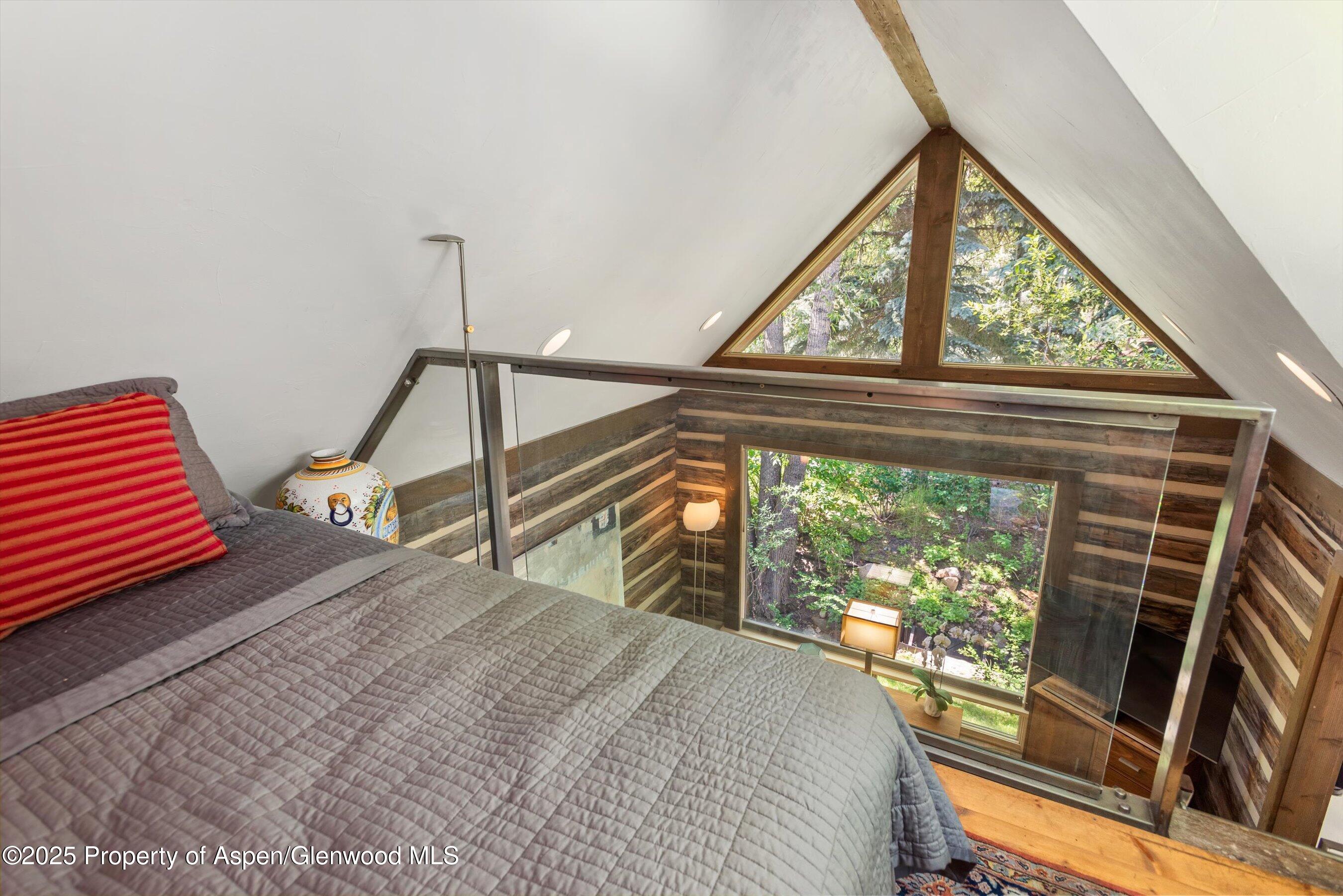 117 Neale Avenue Aspen CO 81611