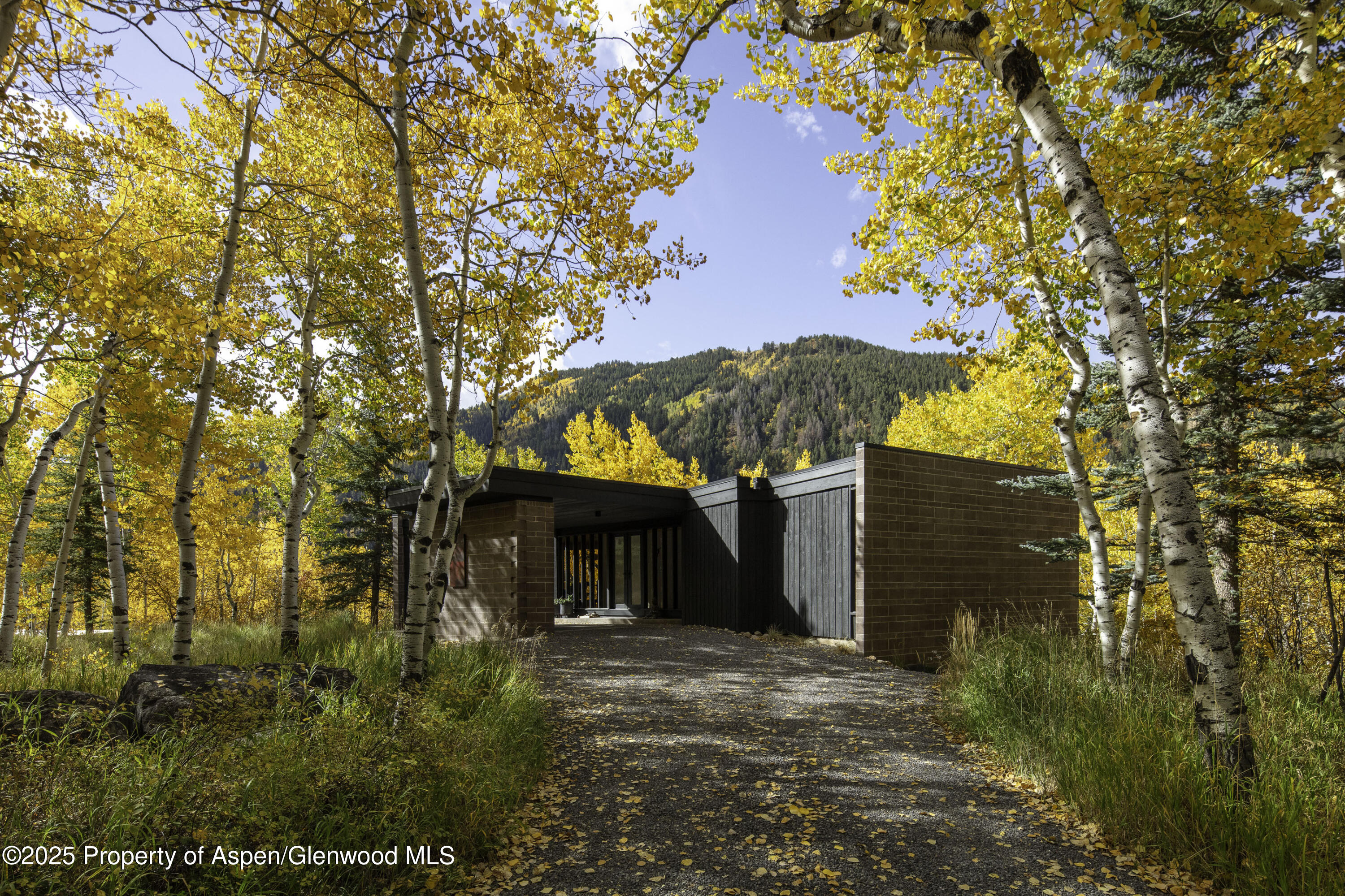 258 Roaring Fork Drive Aspen CO 81611