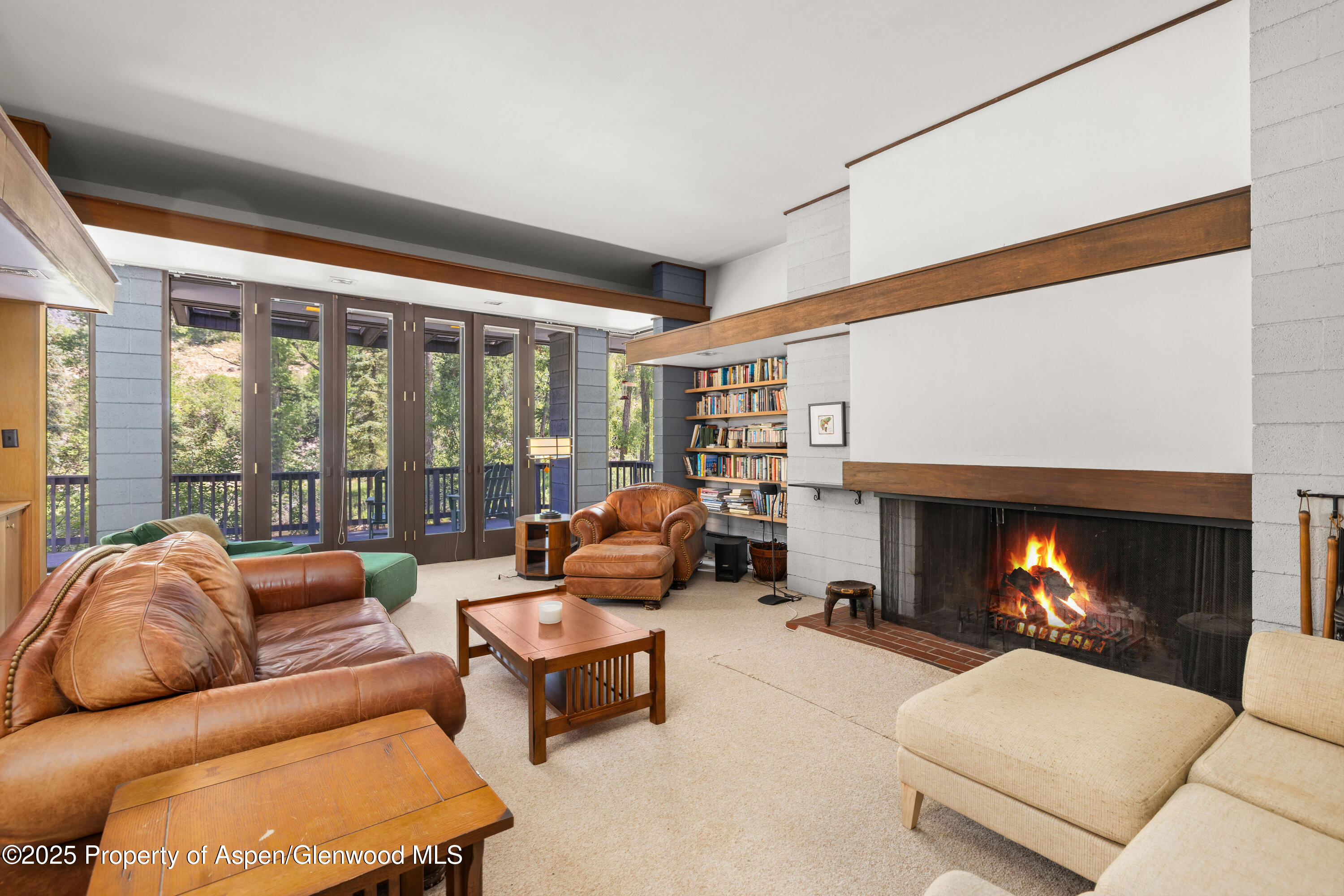 820 Twining Flats Road Aspen CO 81611