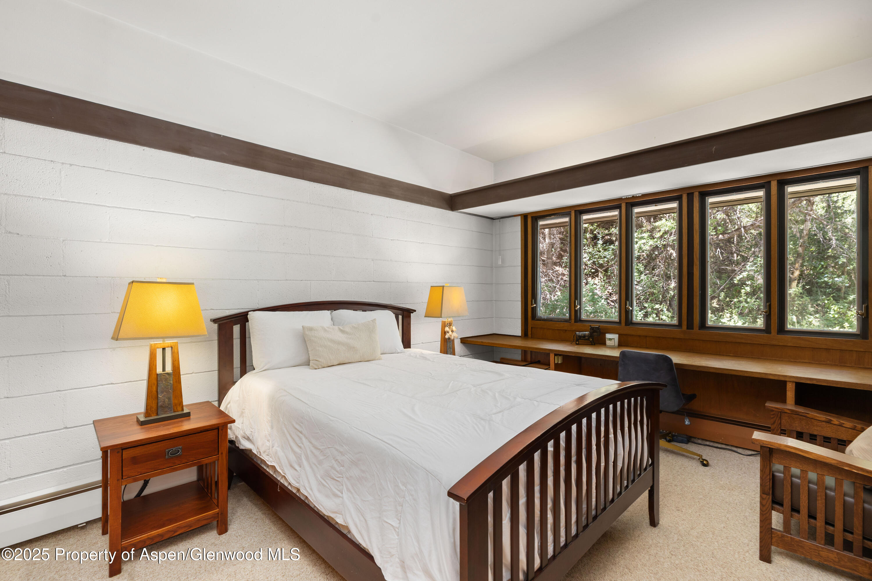 820 Twining Flats Road Aspen CO 81611