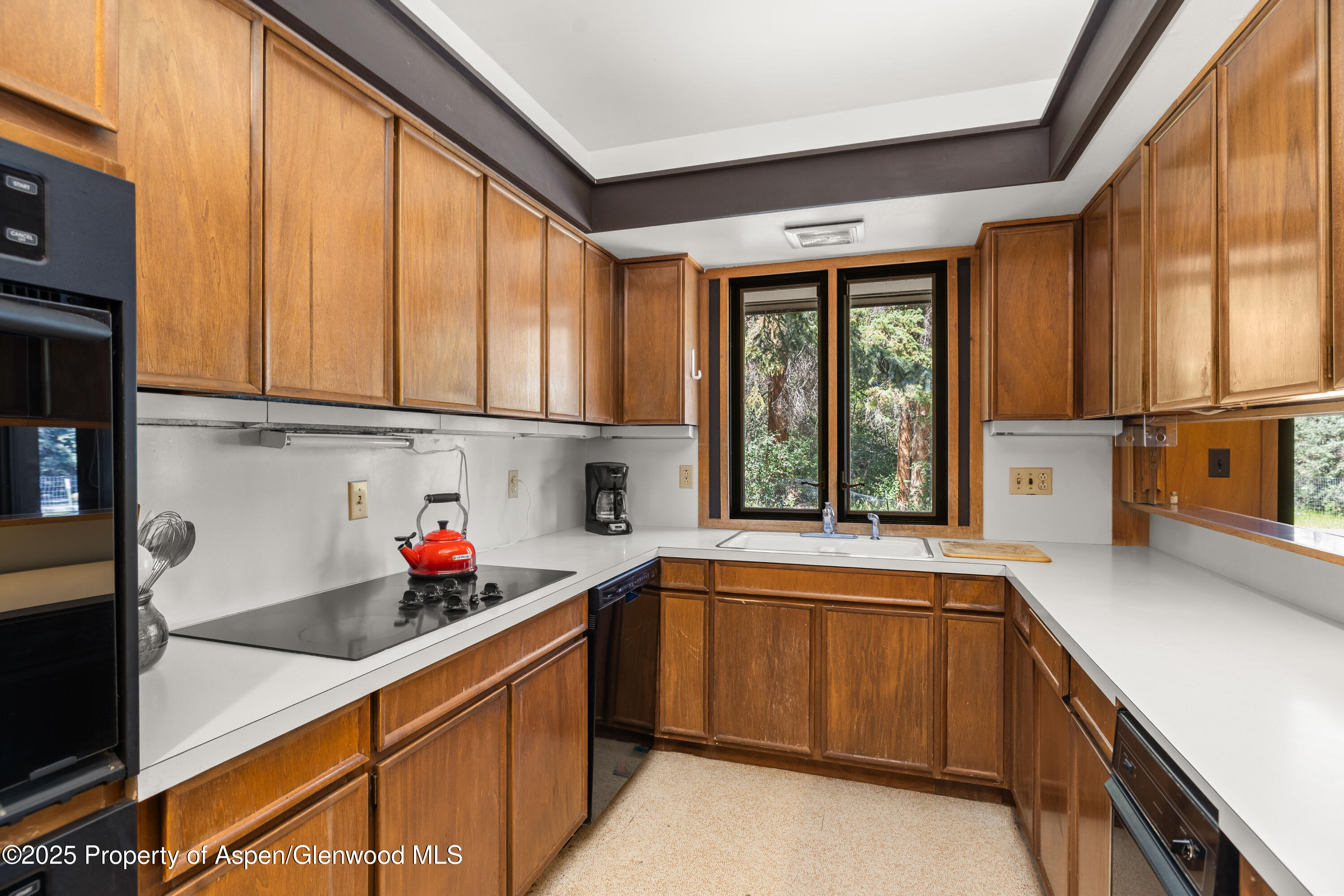 820 Twining Flats Road Aspen CO 81611