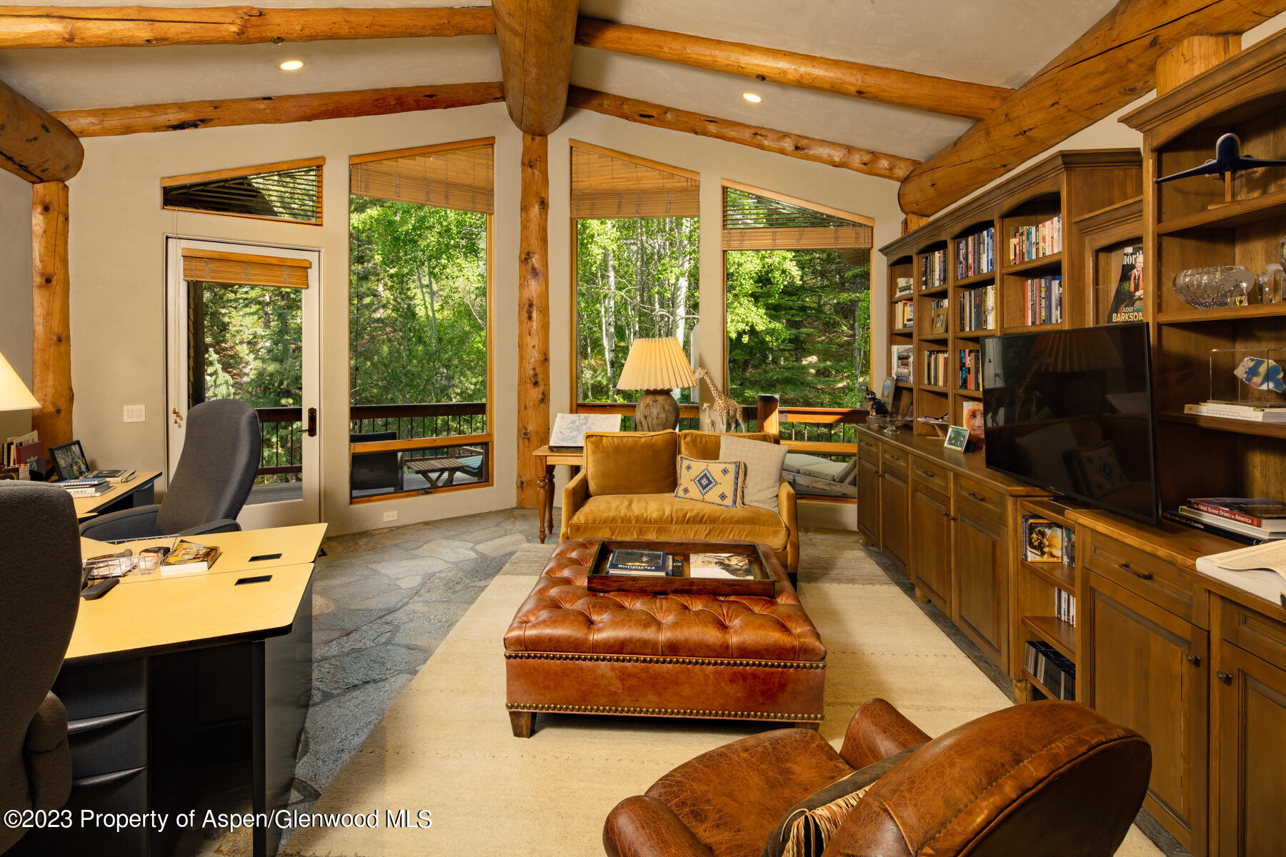 166 Northstar Drive Aspen CO 81611