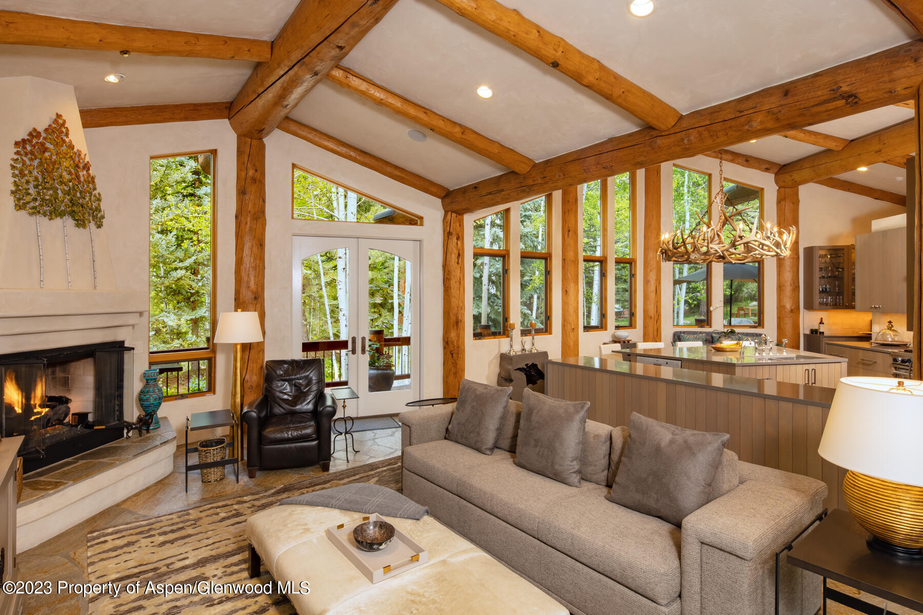 166 Northstar Drive Aspen CO 81611