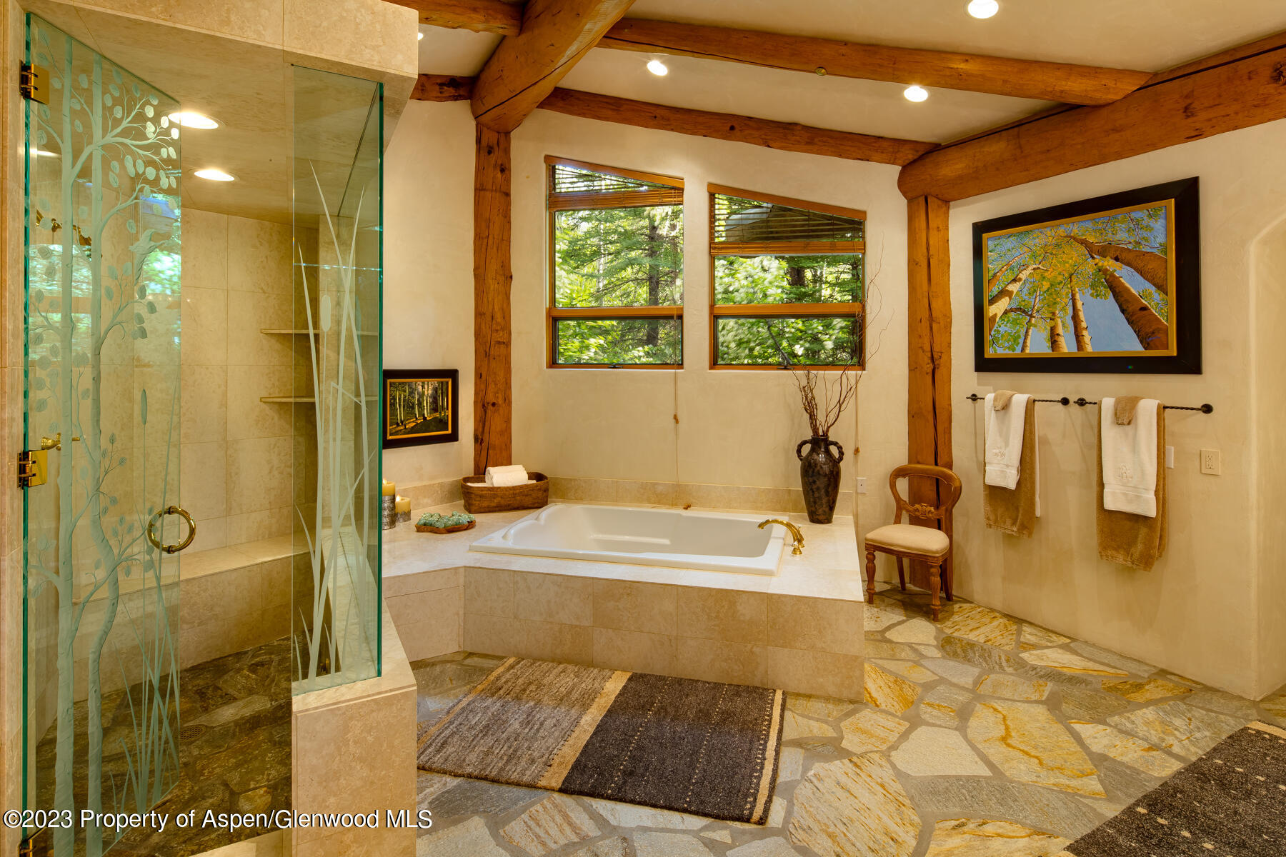 166 Northstar Drive Aspen CO 81611