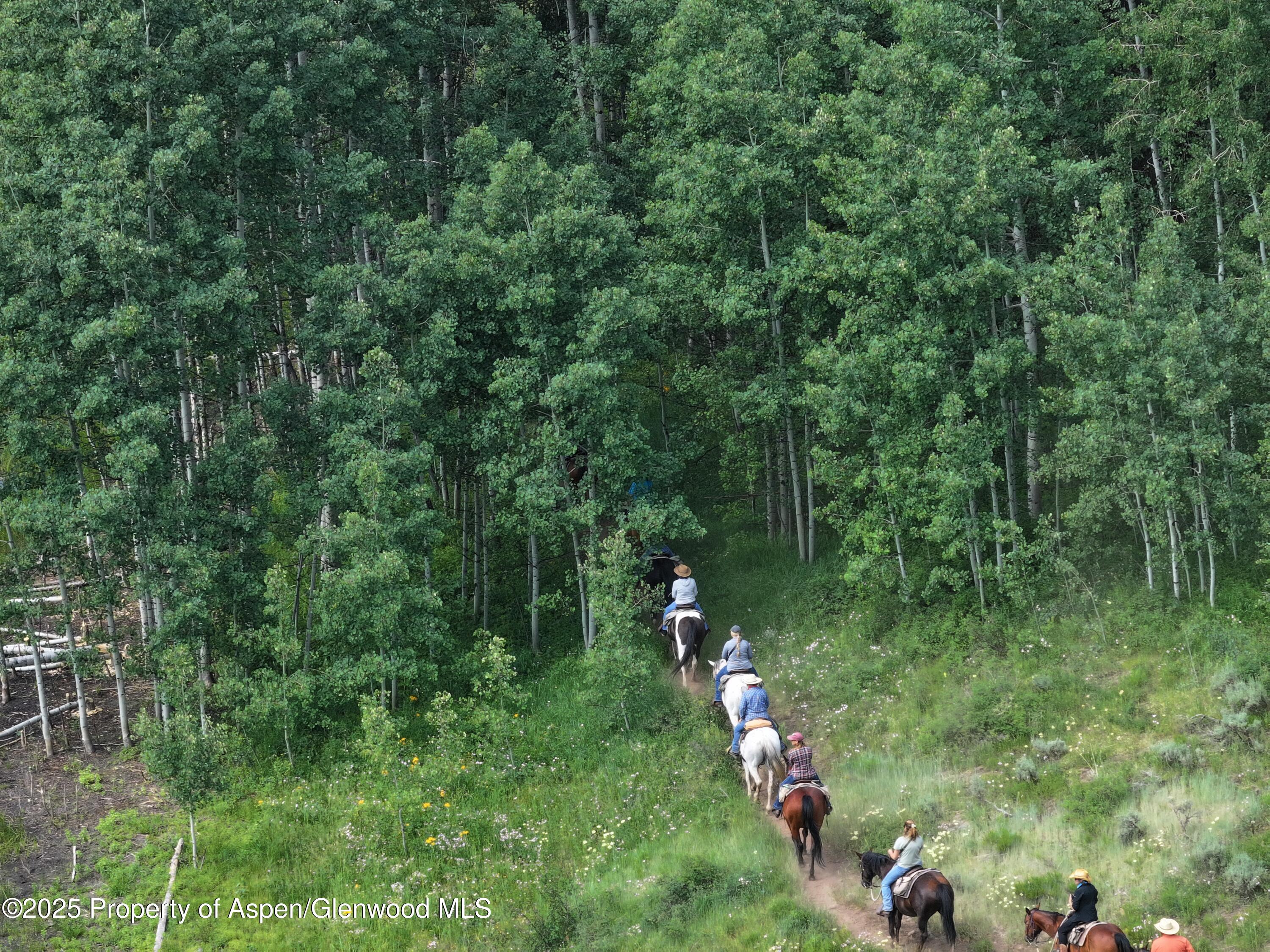 6398 County Road 4 Meeker CO 81641