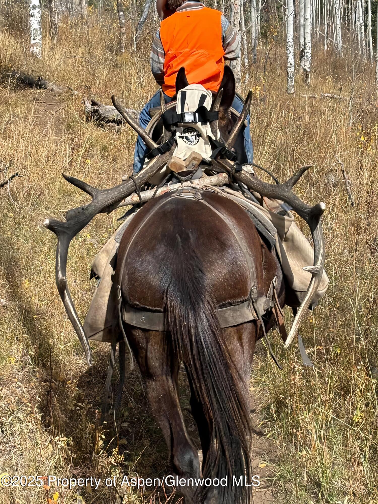 6398 County Road 4 Meeker CO 81641