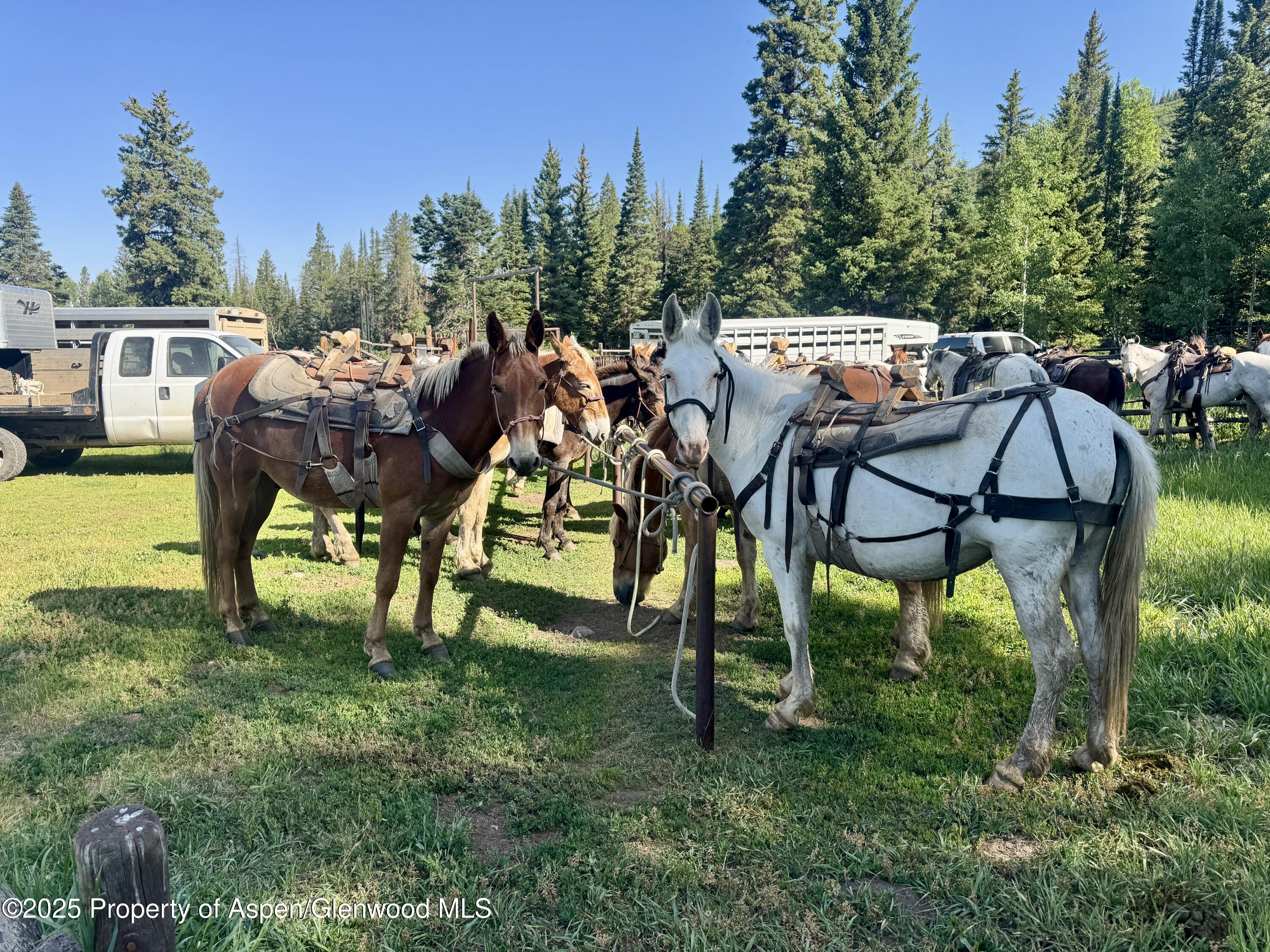 6398 County Road 4 Meeker CO 81641