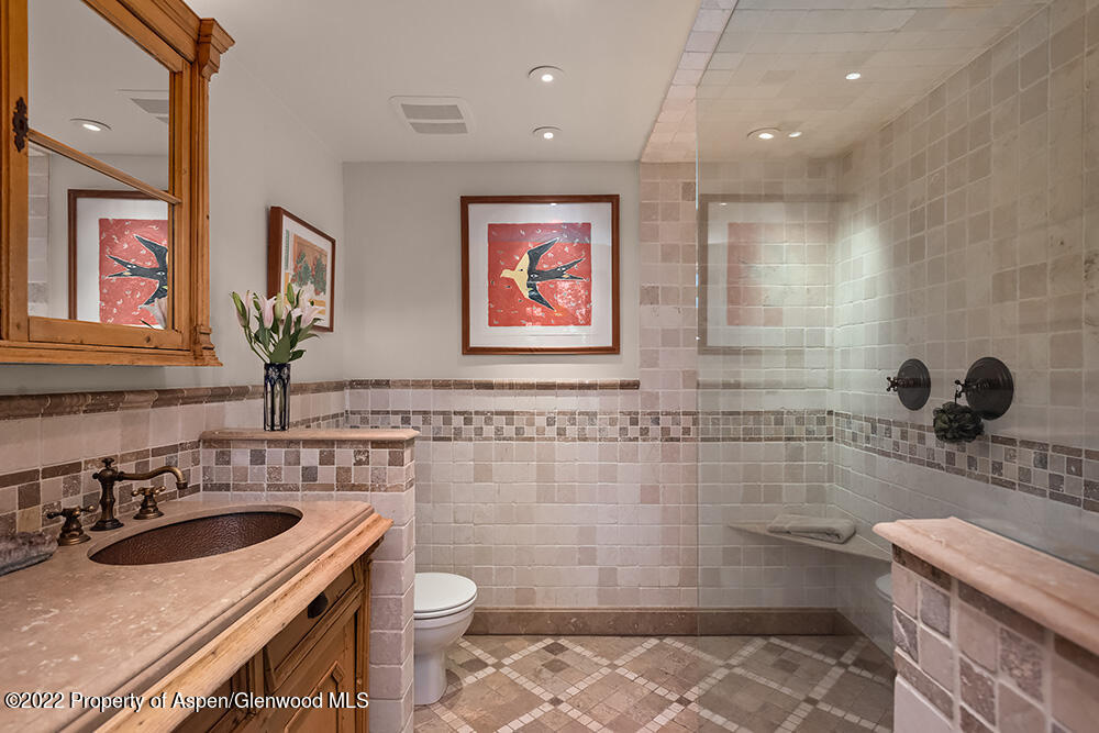 70 Medicine Bow Road Aspen CO 81611