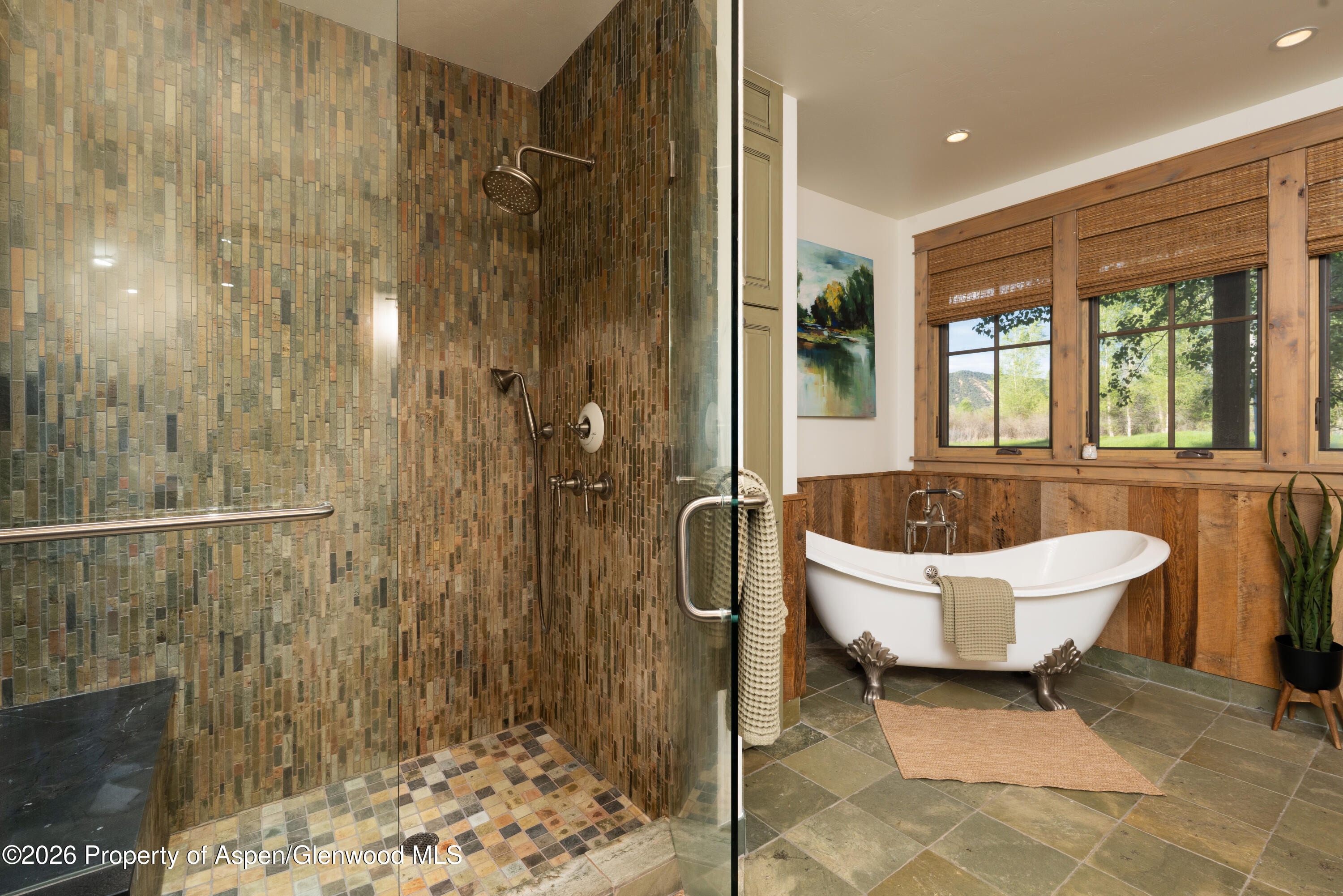 14 Silver Spruce Drive Carbondale CO 81623