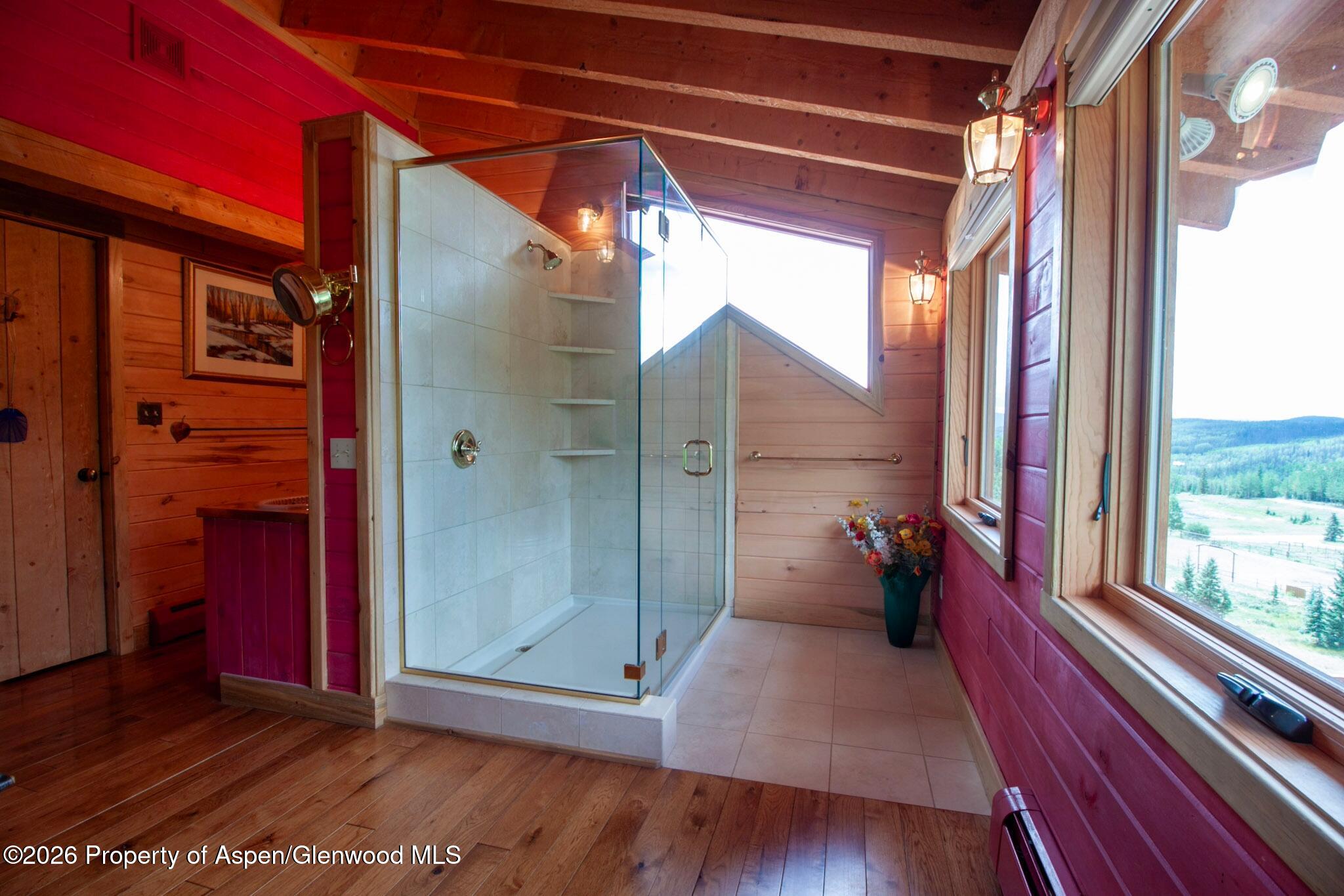 4320 Forest Road 503 Creede CO 81130