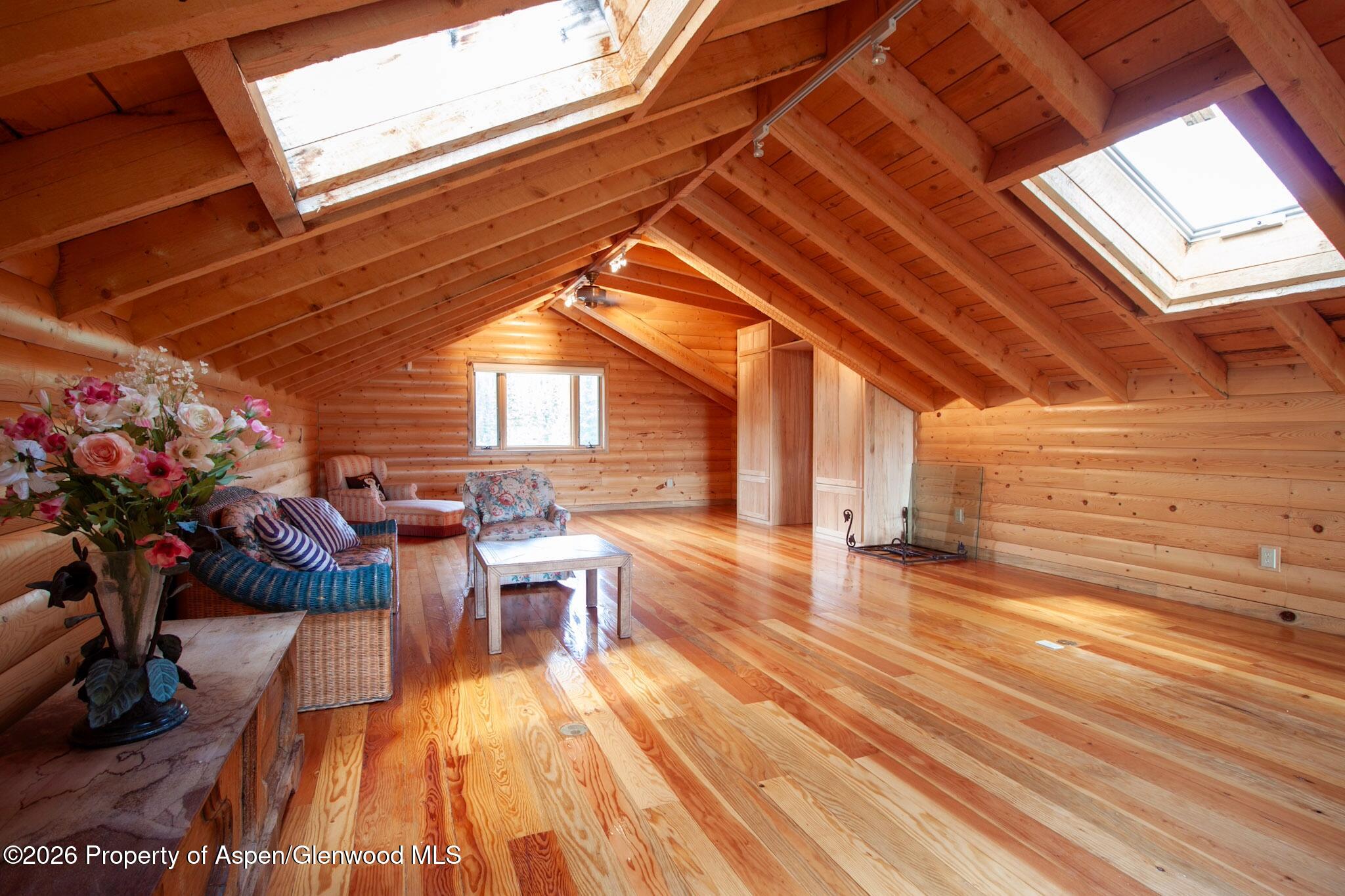 4320 Forest Road 503 Creede CO 81130