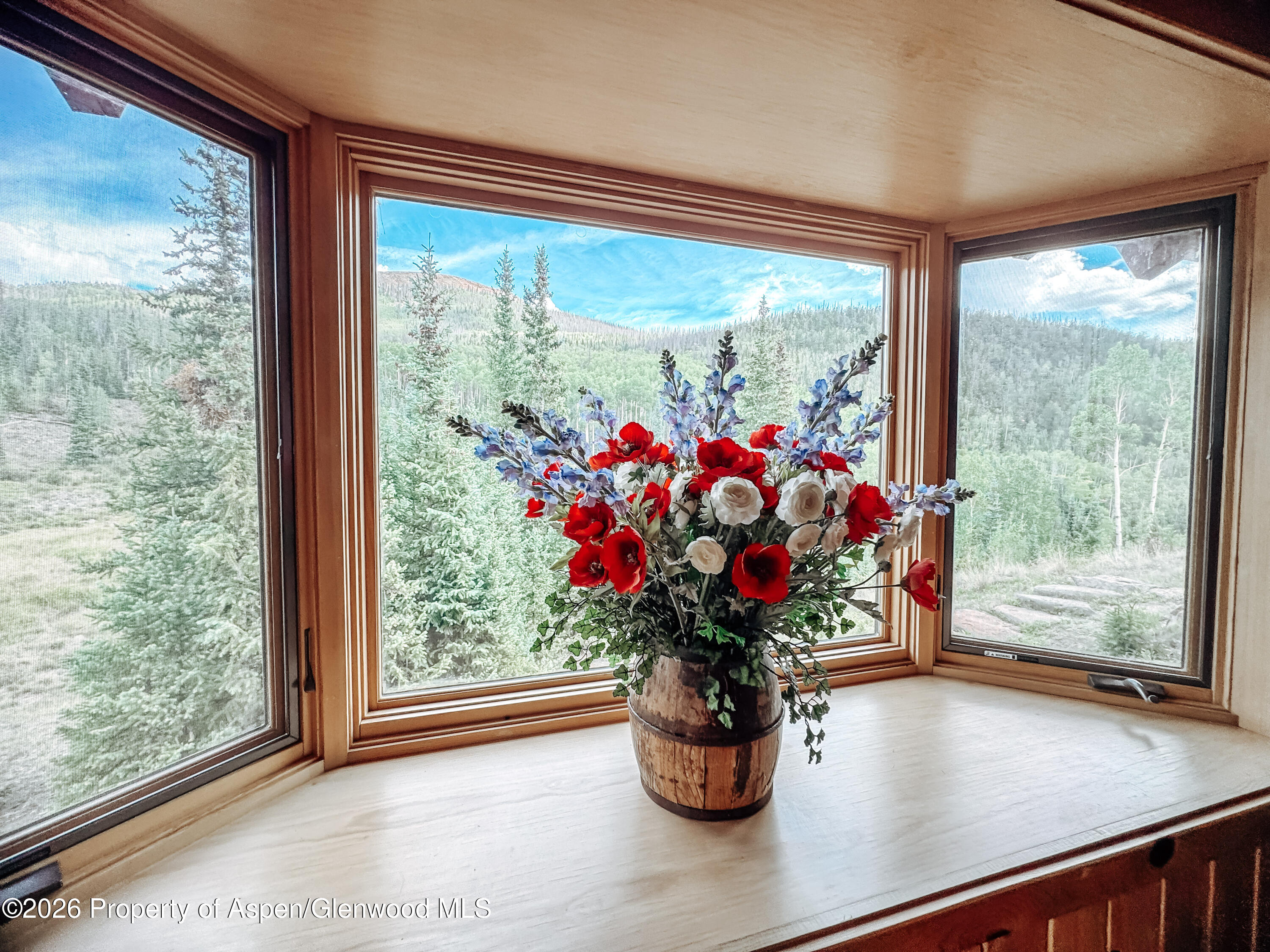 4320 Forest Road 503 Creede CO 81130