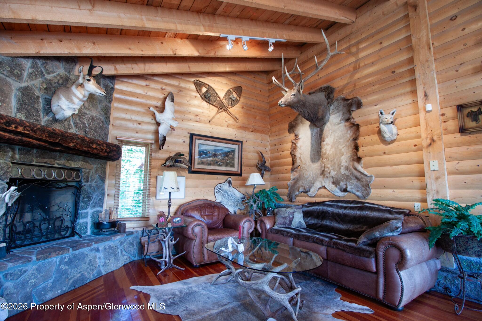 4320 Forest Road 503 Creede CO 81130