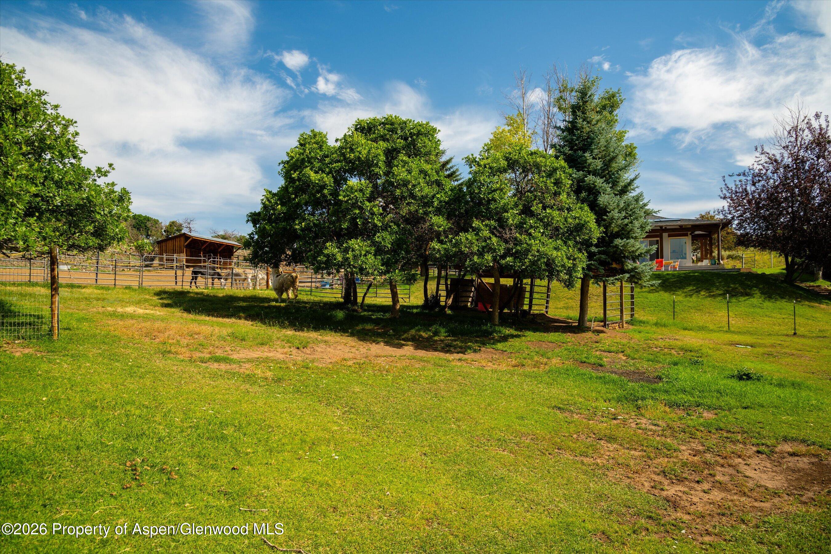 1459 County Road 102 Carbondale CO 81623