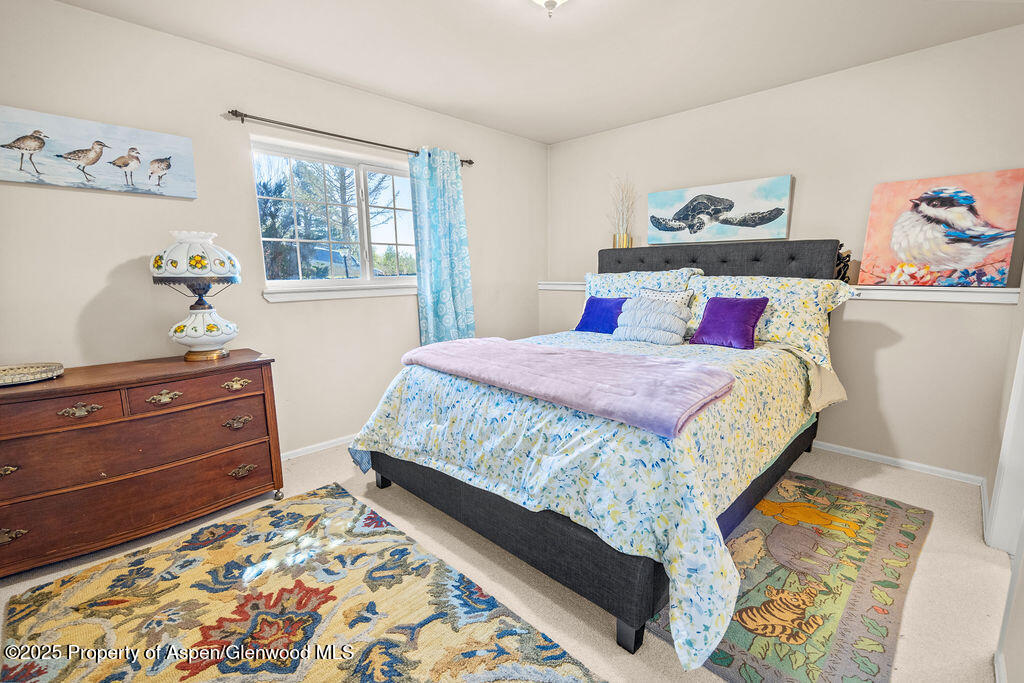 1060 Alta Vista Drive Craig CO 81625