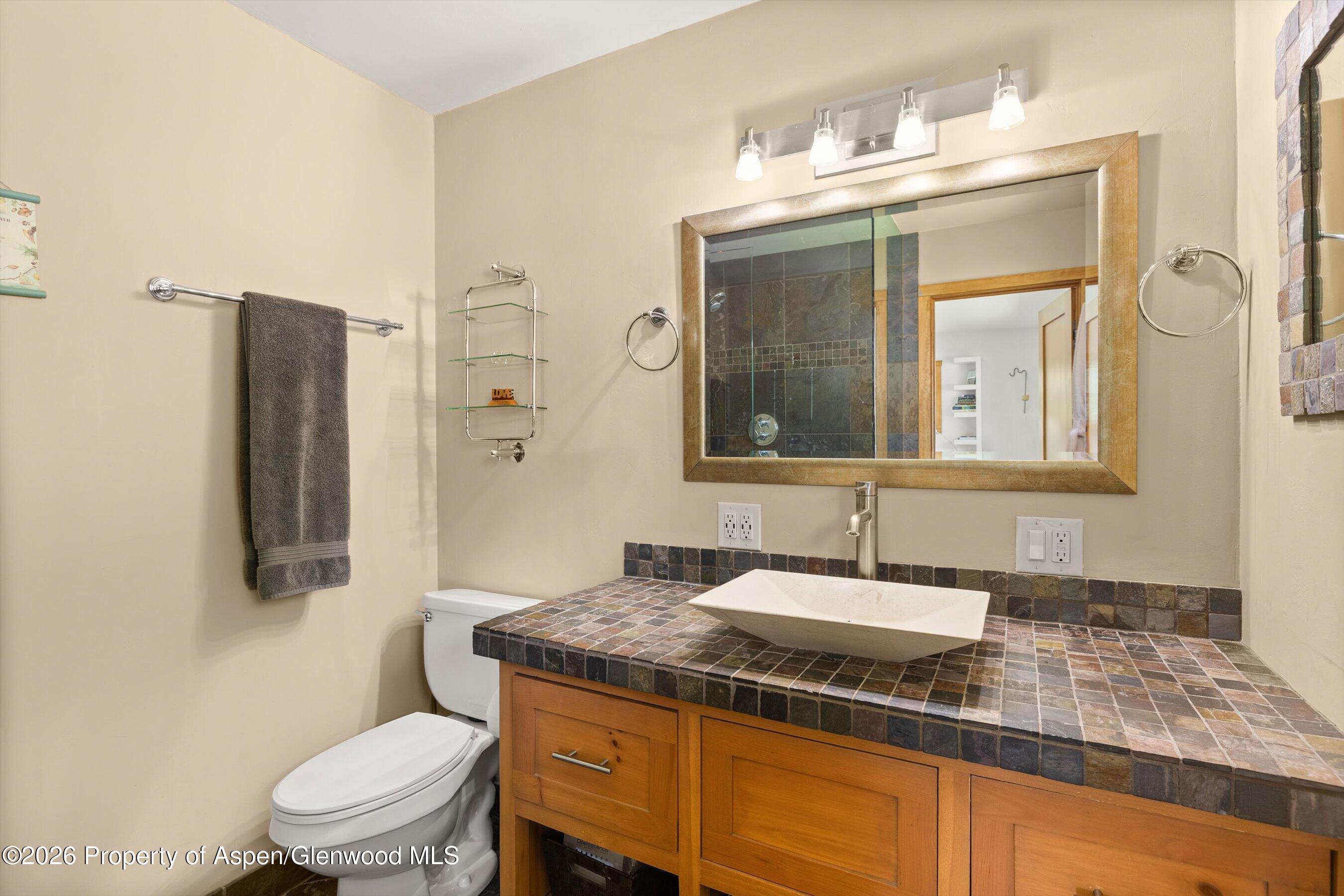 564 Grace Drive Carbondale CO 81623