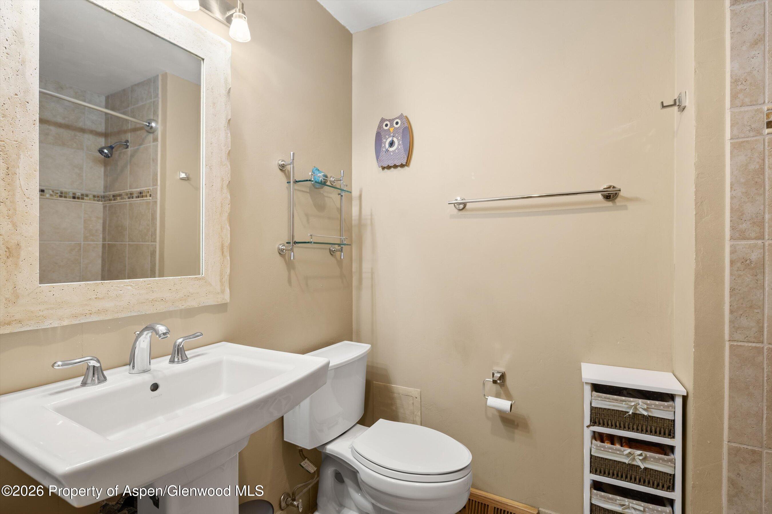 564 Grace Drive Carbondale CO 81623
