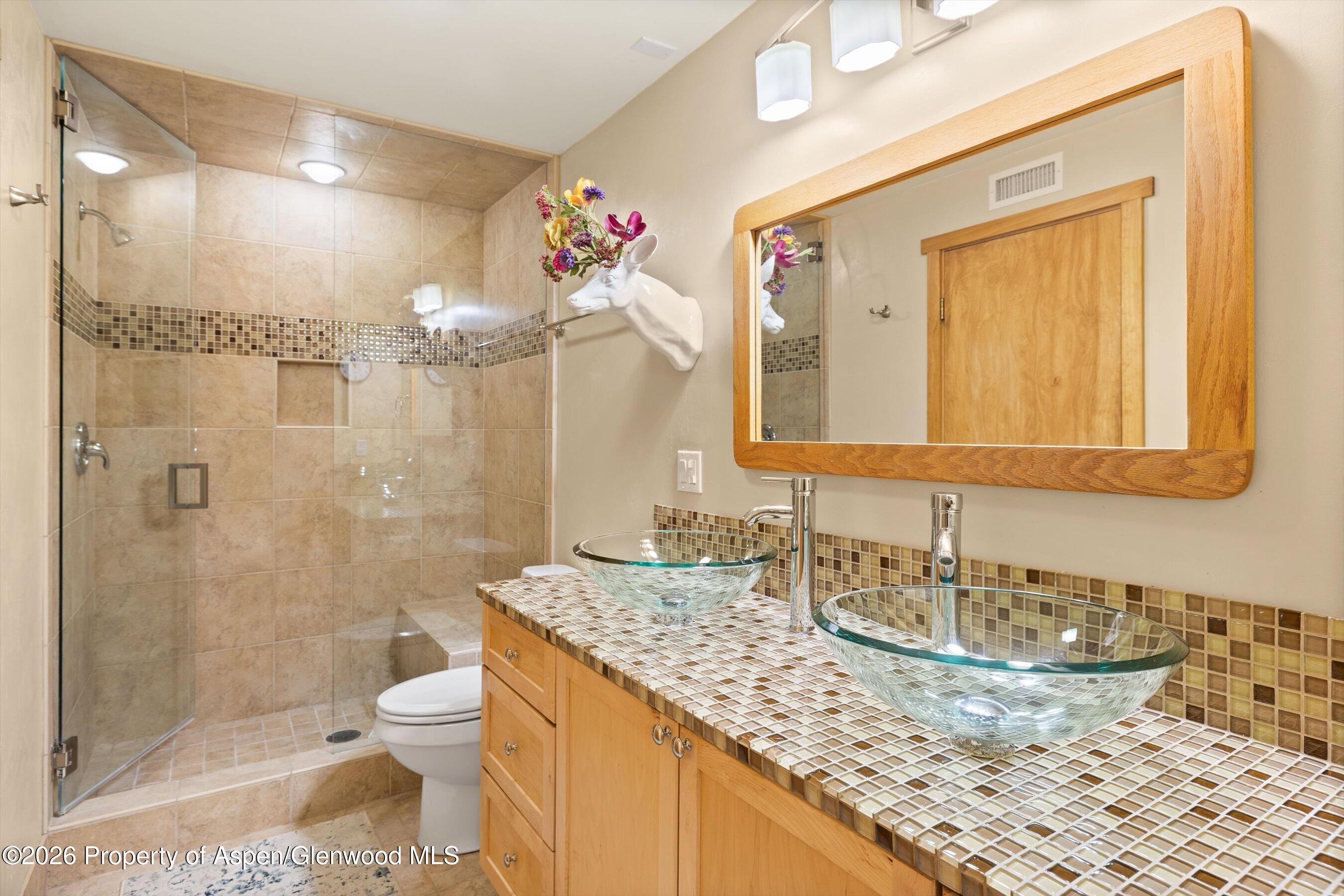 564 Grace Drive Carbondale CO 81623