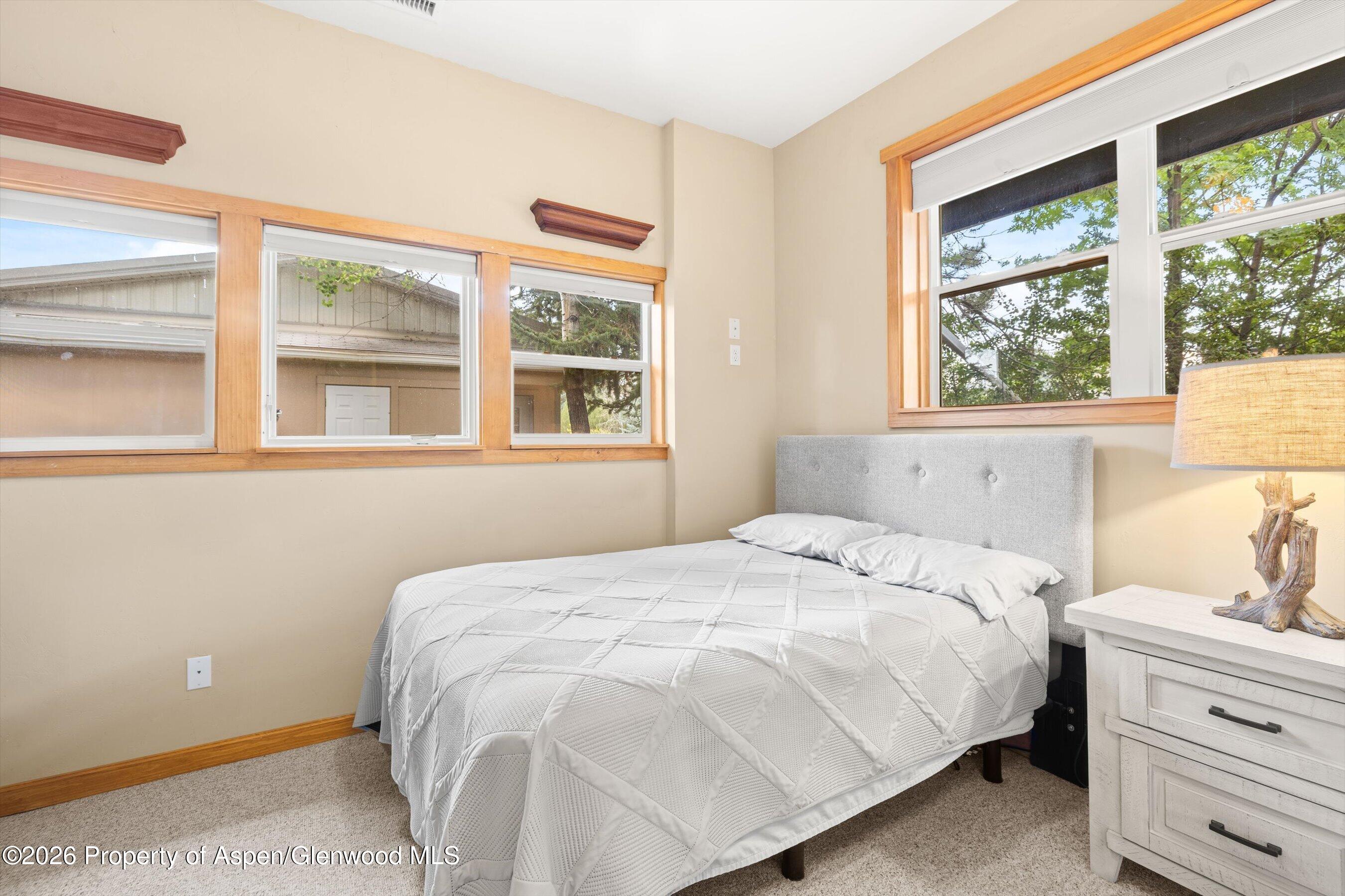 564 Grace Drive Carbondale CO 81623