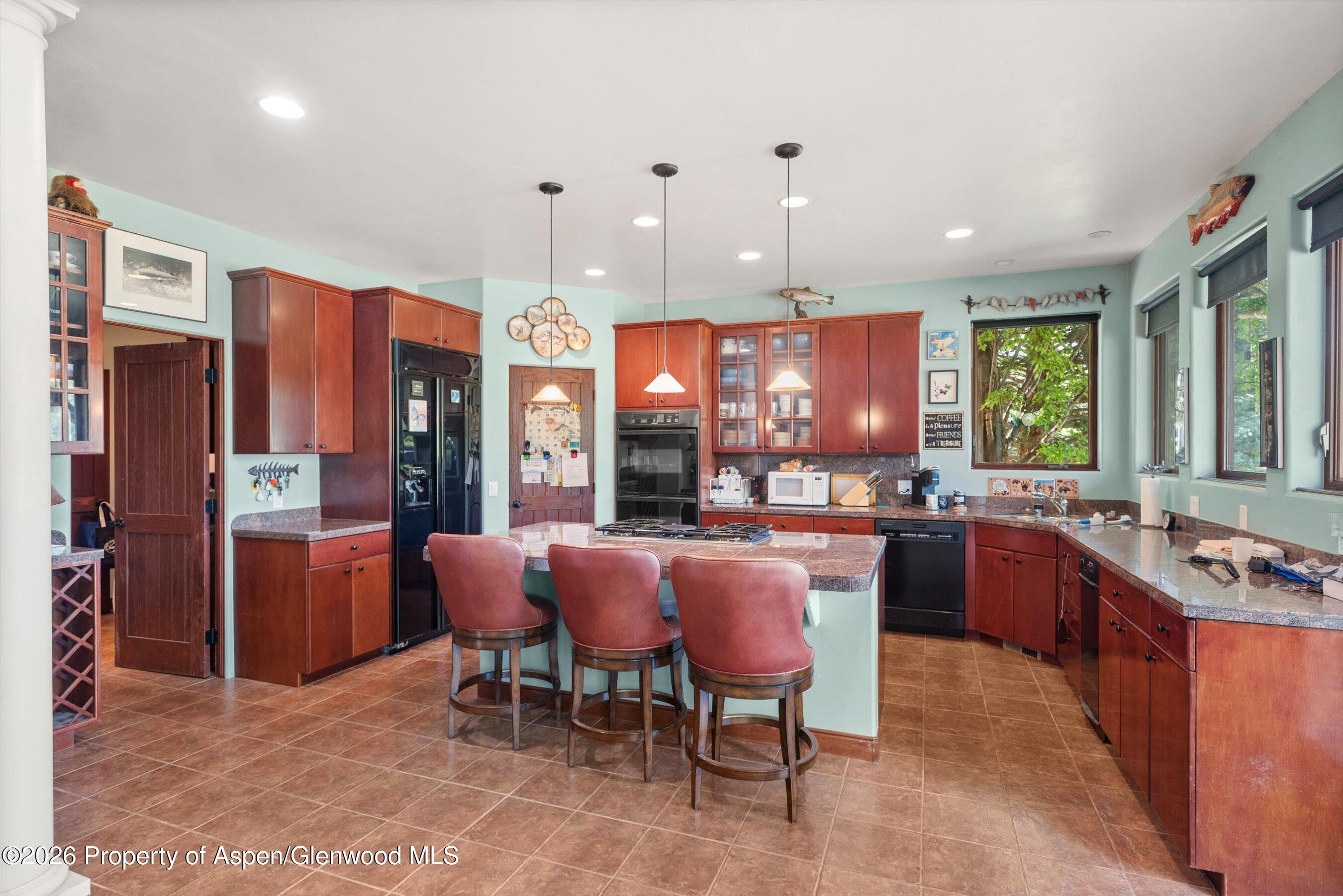 104 Pioneer Court Carbondale CO 81623